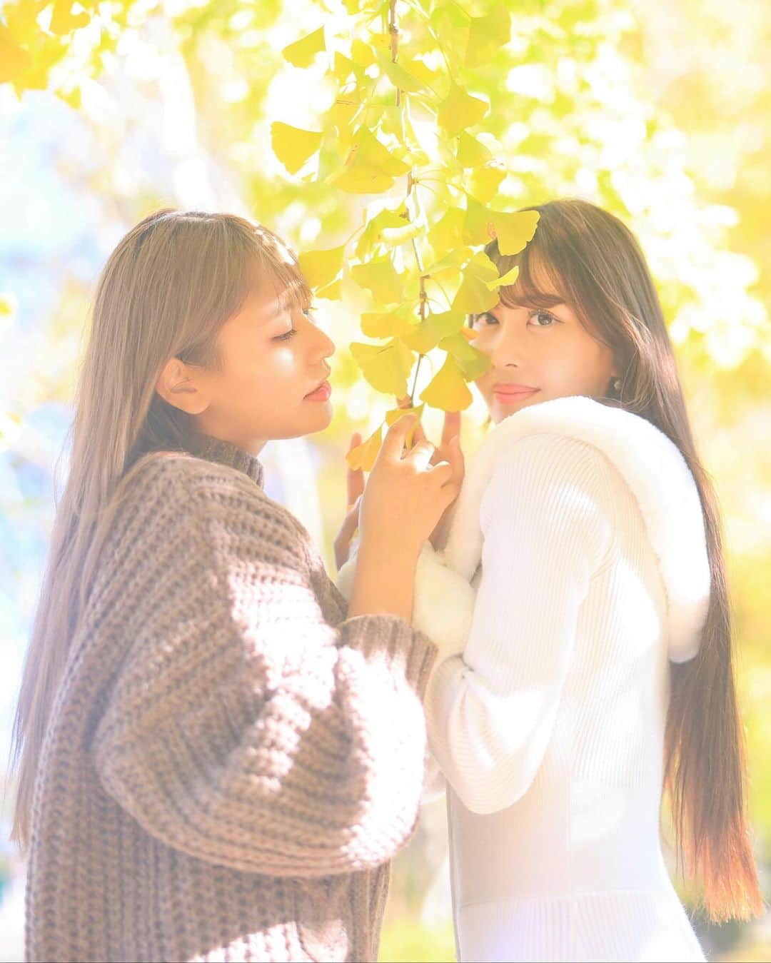 舘林佳史さんのインスタグラム写真 - (舘林佳史Instagram)「紅葉🍁スタファンモデル撮影会 in昭和記念公園 19日に行われたスタファンモデル撮影会📸 @stafan_club   遠くからお越し頂いたカメラマンの皆さん！ 撮影のレクチャー付きの撮影会で 皆さんの写真もとってもドラマティックな写真が撮れてました❣️  終始和やかな雰囲気を作ってくれた美南ちゃん杏里ちゃん！ @minamizukawa  @anri_rity   おかげさまで最高に楽しい撮影会になりました💓  #スタファン #スタファン撮影会 #ドラマティックフォト #紅葉 #昭和記念公園 #銀杏並木  #撮影会 #ドレス撮影 #写真講習 #カメラマン募集 #モデル募集」11月21日 8時08分 - tatephotox