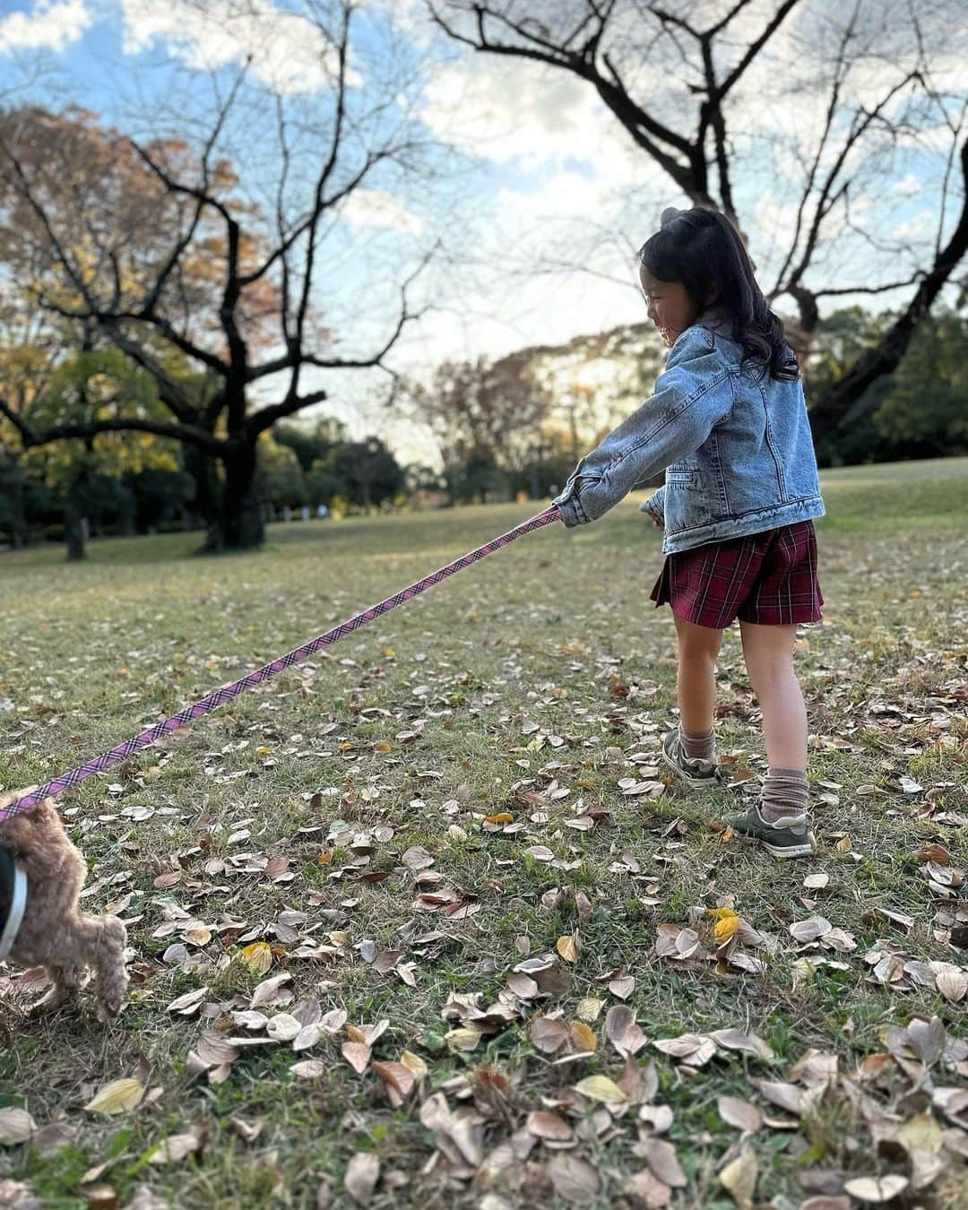 美奈子のインスタグラム：「先日の公園day。  撮影もなく 予定もない日で ドッグカフェとか ドッグランとかいこーよ✨💕 ってなり 出発〜  ドッグカフェは何店舗かみたけど 定休日に大当たりしまくって 行けず笑  ちゃんと調べてから行かなきゃな笑  最近ストーリーばっかだったけど 振り返った時に 見返せない寂しさが急にきて フィード？っていうの？ こっちの投稿もしよって思った今日。  ふぅ。 子供って成長早いよなあ。 もっとゆっくりでいいのになあ。」