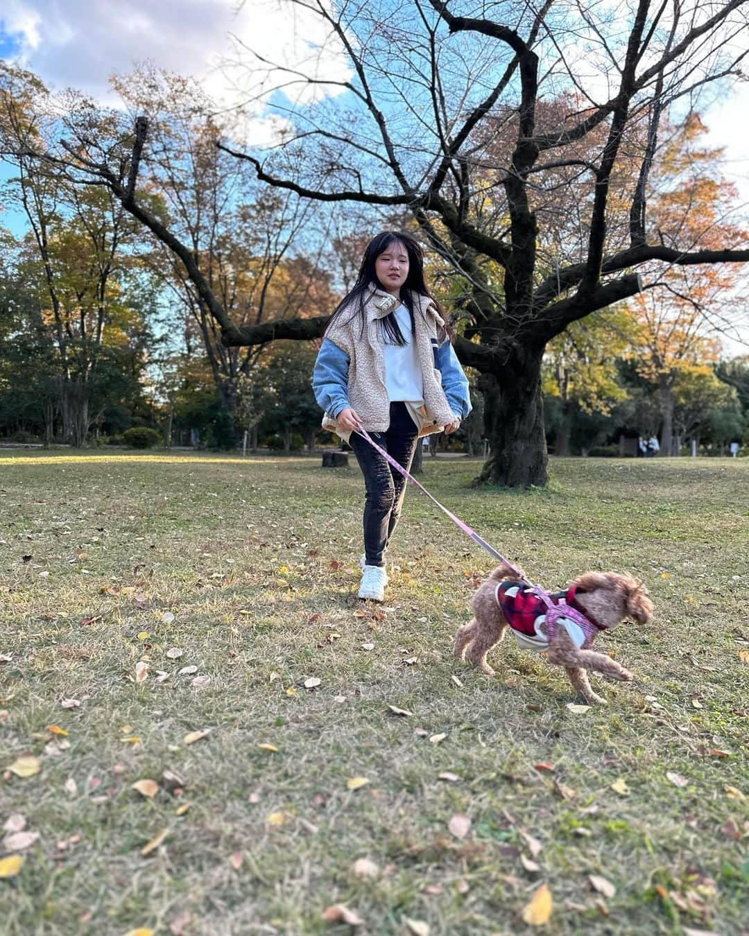 美奈子さんのインスタグラム写真 - (美奈子Instagram)「先日の公園day。  撮影もなく 予定もない日で ドッグカフェとか ドッグランとかいこーよ✨💕 ってなり 出発〜  ドッグカフェは何店舗かみたけど 定休日に大当たりしまくって 行けず笑  ちゃんと調べてから行かなきゃな笑  最近ストーリーばっかだったけど 振り返った時に 見返せない寂しさが急にきて フィード？っていうの？ こっちの投稿もしよって思った今日。  ふぅ。 子供って成長早いよなあ。 もっとゆっくりでいいのになあ。」11月21日 8時04分 - minako_official