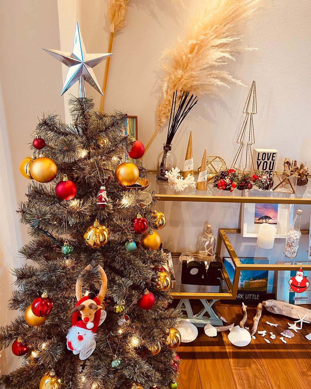 蒲生麻由のインスタグラム：「クリスマスデコレーション🎄  今年は大きめのツリーに買い換えよう と思っていましたが、玄関に設置してみたら ちょうど良いサイズ感だったので とりあえず今年もこの子のままいこうかな🎄  今年新しく取り入れてみたのは、ススキ🌾🌾 結構存在感あっていい感じ🤭  #クリスマスデコレーション #クリスマスツリー飾り付け  #クリスマスツリー  #christmasdecor #xmas  #xmastree #xmasdecor  #ススキを飾る  #ススキはまさかのコンビニで売ってた」