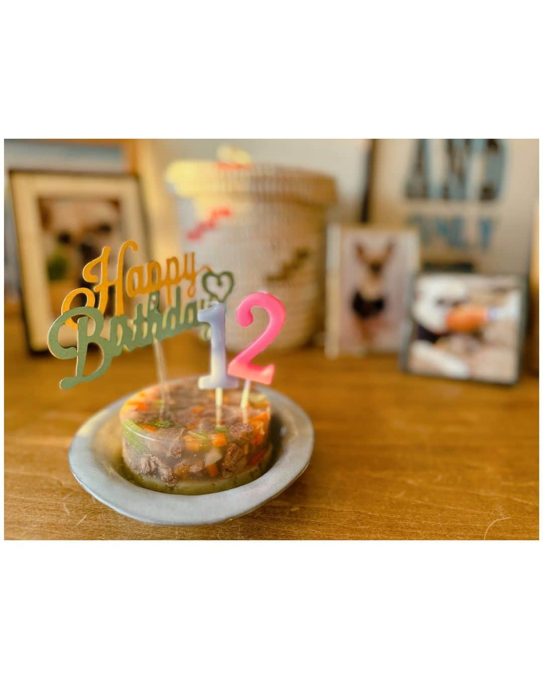 李ヒャンさんのインスタグラム写真 - (李ヒャンInstagram)「今日はトトの12回目誕生日。 姿はみえなくなっても トトが生まれてきてくれた日は私にとって大切で特別な日なことはこれからもずっと変わらない。 お誕生日おめでとう🎂 ずっとずっと大好きよ♡ お肉入りケーキ食べてね☺️ #pug #frepug #frenchbulldog #ilovemydog #happybirthday #ぽにトト」11月21日 8時13分 - 73hyang