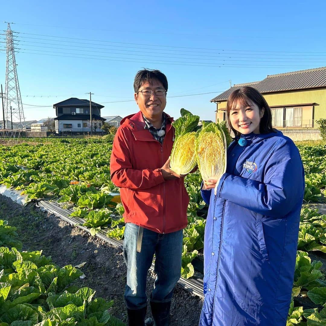 山﨑加奈さんのインスタグラム写真 - (山﨑加奈Instagram)「・ 昨日のTHE TIME,中継🌱 焼津から、今が旬！中身がオレンジ色の白菜をご紹介しました🧡  『オレンジクイン』という品種のもので、生でかぶりついても美味しくてびっくり！😳 ミルフィーユ鍋にしたらより甘みが増して絶品です✨  三和(みわ)農園さんではオンラインで購入もできますよ！ この冬はオレンジ色の鍋で温まりましょう〜☺️🫶 ・ #thetime_tbs  #静岡グルメ #焼津グルメ  #白菜 #白菜レシピ #ミルフィーユ鍋 #オレンジクイン #白菜スープ  #アナウンサー #山﨑加奈」11月21日 20時06分 - kana_yamazaki_sbs