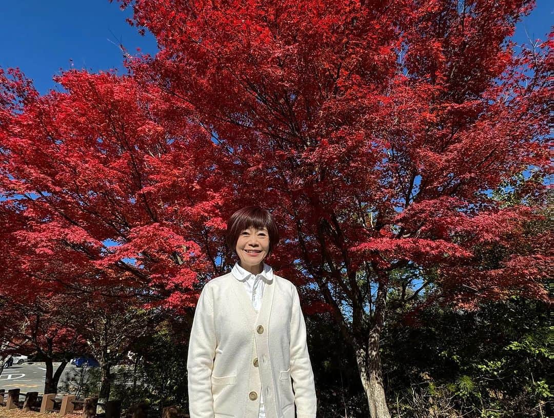 神野美伽さんのインスタグラム写真 - (神野美伽Instagram)「11月21日  みなさん こんばんは  晴天でとても暖かい一日の京都嵐山を満喫して、東京に向かっています。  昨日の イタリアン「RADICE」さんの白トリュフをふんだんに使ったランチ、  いつお邪魔しても感動の 「鮓　はやし」さんでのディナー、  そして今日、 こちらも、 いつお邪魔しても感動を与えてくれる 「圓融罨　こばやし」さんの天ぷらランチ。  美味しいものを沢山いただいて、 赤く染まった今年の紅葉にも感動して、 とても幸せな良い時間を過ごさせていただきました。  80歳になられたとよひさ先生も、 とてもお元気です。  こんな穏やかな時間を一緒に過ごせることに感謝。  おもろき哉、 おもろき哉、 人生は。  みんなが幸せなことが、 一番いい。  #嵐山　#紅葉　#京都天ぷら  #圓融罨こばやし  #鮓はやし　#RADICE」11月21日 18時58分 - mika_shinno_japan
