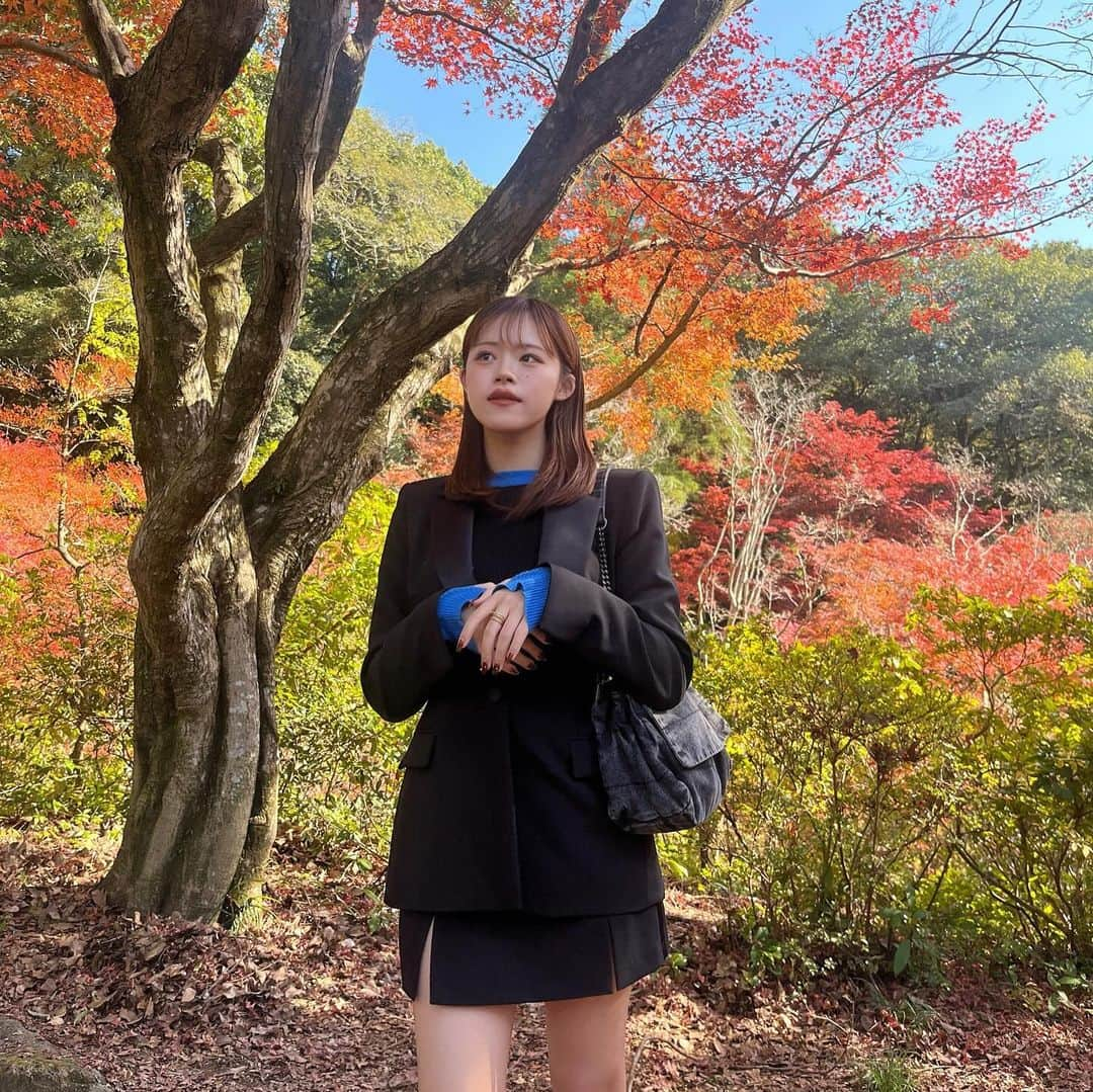 になにさんのインスタグラム写真 - (になにInstagram)「. ギリギリスライディングで秋堪能🍂 ほんで私の膝小僧は人の顔みたいになってます で、ザラザラ」11月21日 19時06分 - avo___cado