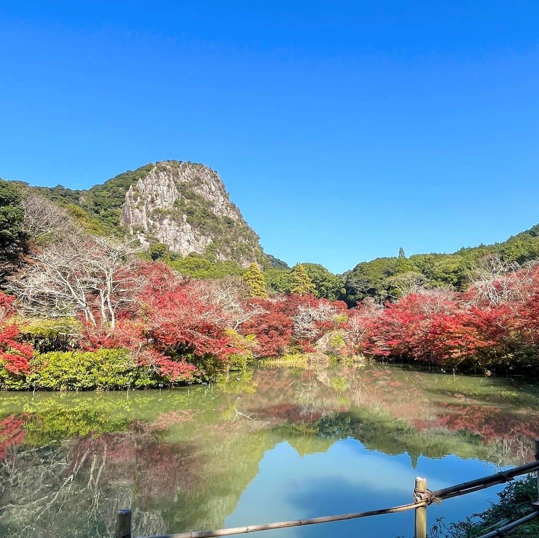 になにさんのインスタグラム写真 - (になにInstagram)「. ギリギリスライディングで秋堪能🍂 ほんで私の膝小僧は人の顔みたいになってます で、ザラザラ」11月21日 19時06分 - avo___cado