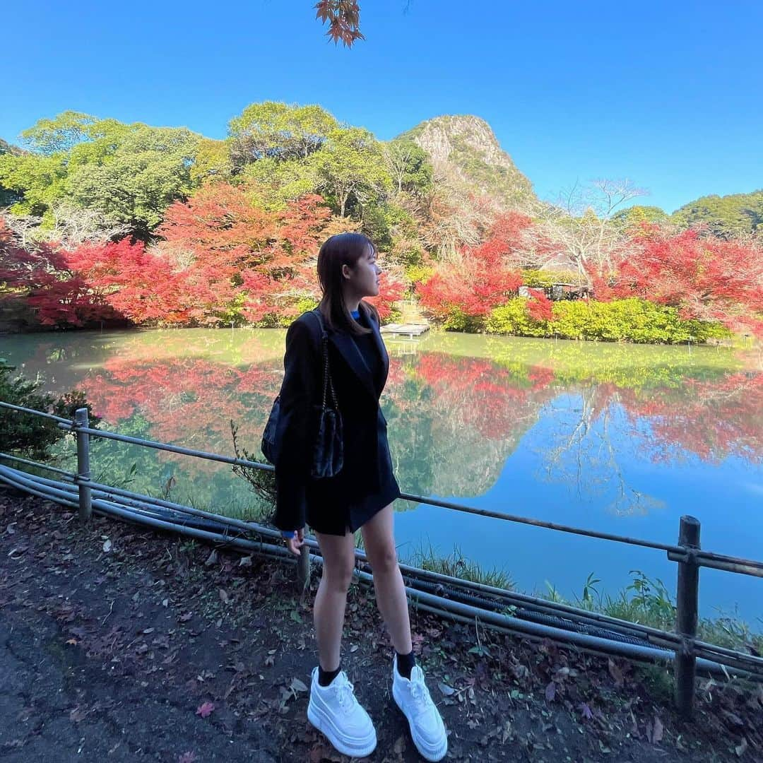 になにさんのインスタグラム写真 - (になにInstagram)「. ギリギリスライディングで秋堪能🍂 ほんで私の膝小僧は人の顔みたいになってます で、ザラザラ」11月21日 19時06分 - avo___cado