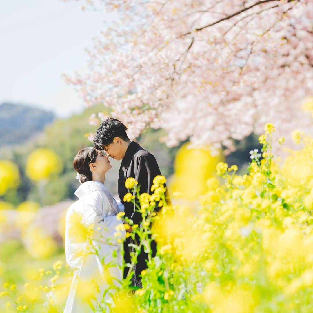 スタジオアクア新宿店さんのインスタグラム写真 - (スタジオアクア新宿店Instagram)「早咲きの桜🌸河津桜のご予約開始🌸 ウィンターキャンペーン開催中✨ 12月のイルミネーションのご予約開始しています！ その他スタジオ見学も可能です🎵 屋内庭園スタジオには紫陽花が入り季節感もアップ⤴️ ハウススタジオにフラワーショップのようなお花も入りました💐 雨の心配もないので安心して室内で外のようなお写真が残せます ⁡☀️  #河津桜  #撮る結婚式  #スタジオアクア #フォトウェディング #前撮り スタジオアクア新宿店🌱 ▷▷ @studioaqua.shinjuku  ⁡ デコルテ公式アカウント ▷▷ @decollte_weddingphoto  -——————————— ▷ フォトグラファー ▷ ヘアメイク ▷ フォトプランナーの仲間を募集中！  私たちと一緒に働きませんか？ 詳しくは @decollte_recruit へ🍀」11月21日 19時17分 - studioaqua.shinjuku