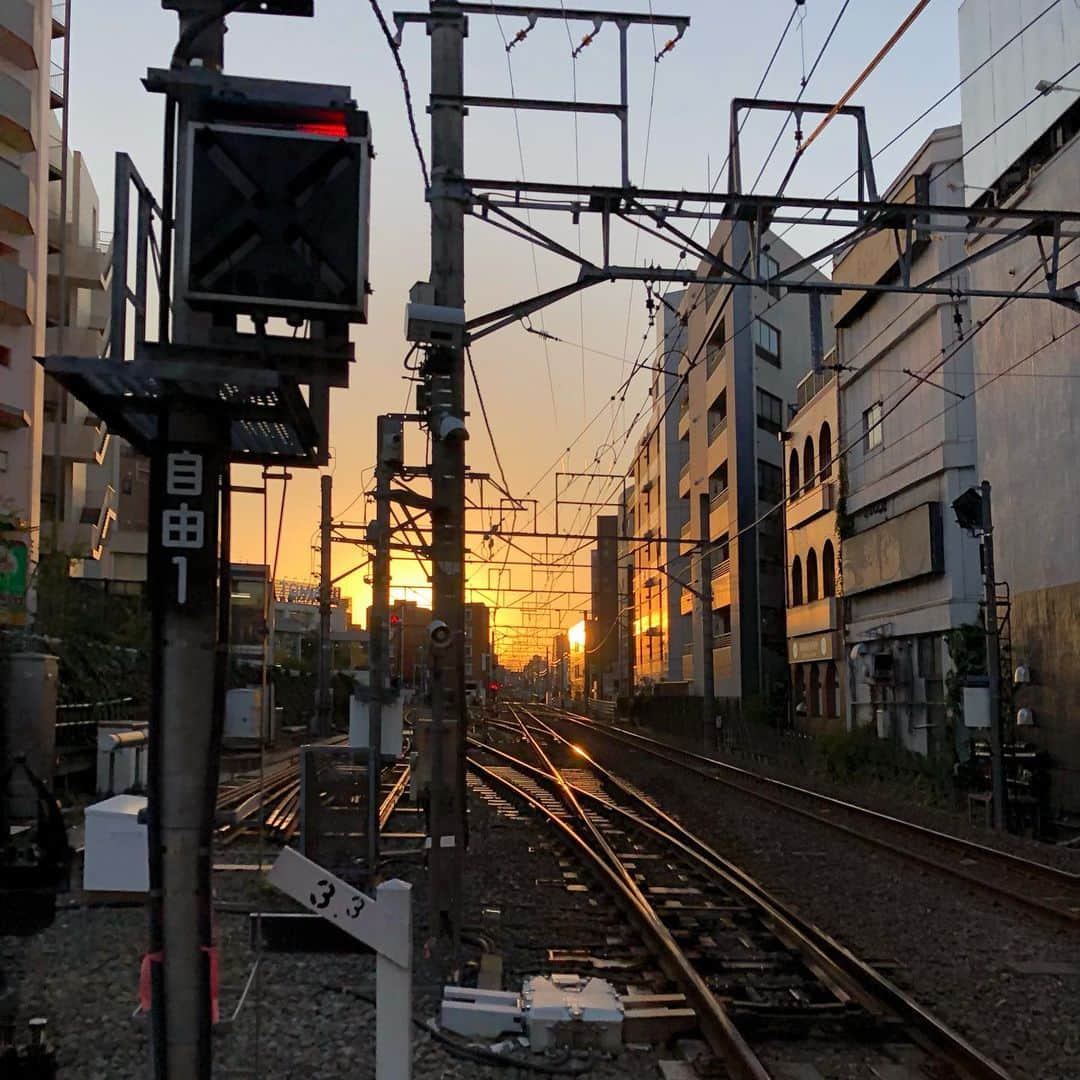 新田桃子さんのインスタグラム写真 - (新田桃子Instagram)「자유로운 천사들🪽🩵  #自由が丘カフェ #中目黒カフェ #究極のガトーショコラ #名古屋名物 #지유가오카 #나카메구로」11月21日 19時18分 - momottiiii