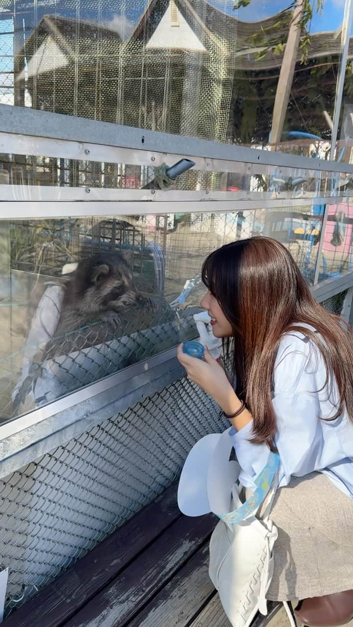 Moka のインスタグラム：「大好きなメルヘン村🐿️  シュールで平和でとってもあたたかい遊園地。  #メルヘン村 #佐賀 #佐賀県 #佐賀旅行 #佐賀観光 #フリーモデル #フリーランスモデル #フリーモデル東京 #東京モデル #モデル東京 #広告モデル #イメージモデル #撮影 #撮影モデル #撮影依頼受付中 #撮影依頼募集中 #インフルエンサー #インスタグラマー #一人旅 #ひとり旅 #一人旅女子 #旅人 #旅行好き #旅行好き女子 #旅女 #タビジョ #旅ガール #国内旅行 #温泉旅 #女子旅」