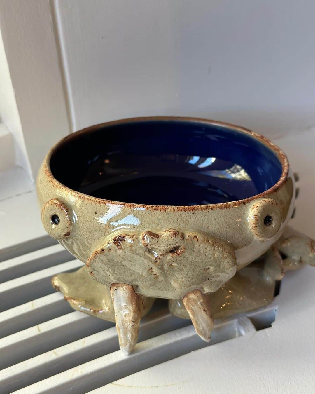 ビジー・フィリップスさんのインスタグラム写真 - (ビジー・フィリップスInstagram)「NEW POTTERY THAT I MADE FOR YOU!! I mean…not like *literally* for YOU, because it’s mostly for other people however I’d like to *show* you what I made (but also maybe it is kind of for you, you know?)  1. elephant is so good I’m in love with her😭 2. new pig with little feet 🐷 3.&4. WALRUS BOWL I’M DEAD AT HOW GOOD HE TURNED OUT WTF(mom don’t show dad this pic) 👀 5. Two little pug pots getting along just fine 6. another new pig 🐷 7. mushroom menorah ✨ 8. ANOTHER 🍄🕎   9. mushroom ornaments that actually *will* be for sale soon on a site i’ll link to when it’s time and all money going to abortion funds🍄 10. Two pigs with flowers in their hair looking like a million bucks.🌺🐷🌺🐷」11月21日 11時36分 - busyphilipps