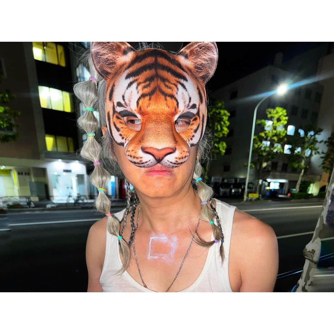 イマイアキノブのインスタグラム：「𖦁 バイバイ 2023年の夏 ヤモリくんたち 来年また会おう」