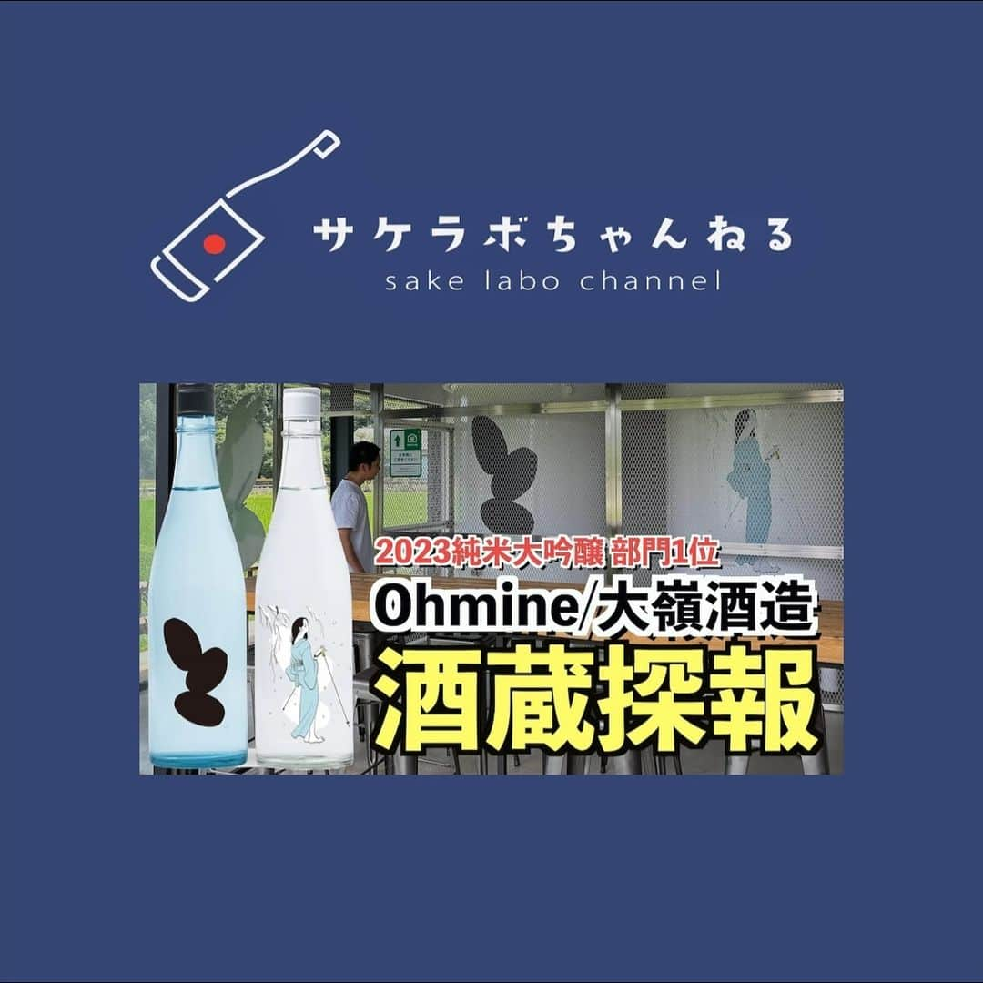 大嶺酒造のインスタグラム：「「NEWS / メディア掲載情報」  東京都北区の日本酒バル「サケラボトーキョー」が運営する人気YouTubeチャンネル「サケラボちゃんねる」にて、大嶺酒造にフォーカスした動画が公開されました。酒蔵の全容をはじめ、蔵ができるまでのストーリーなど、丁寧にご紹介頂いております。ぜひご視聴ください。  @kaiyu_jp @sakelabotokyo  #大嶺酒造  #ohmine  #sakelabo  #sakelabotokyo」