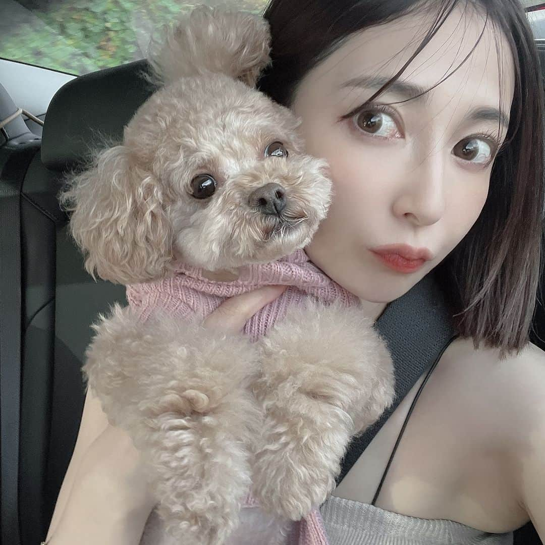 仲村美香のインスタグラム：「ぐらちゃんと🐶💕  一緒に旅行したのは妊娠前だから 3-4年ぶり？な旅行でした🤣♡♡♡ 楽しかったね🥰🥰🥰  #トイプードル#ティーカッププードル #4歳 #家族旅行」