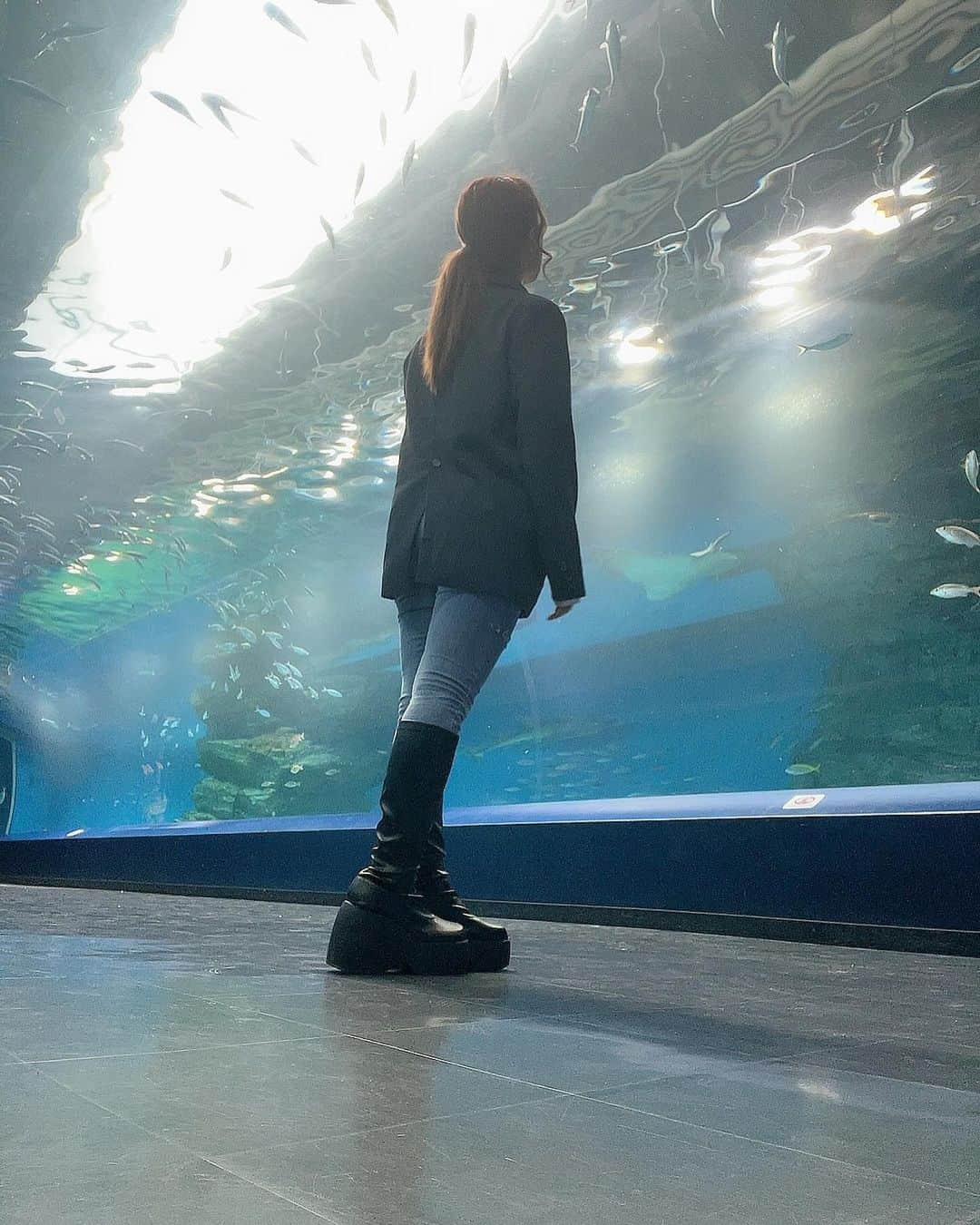 蓬田結梨杏さんのインスタグラム写真 - (蓬田結梨杏Instagram)「気分転換に水族館にいってきた #アクアパーク品川」11月21日 13時47分 - yuria_yomogita