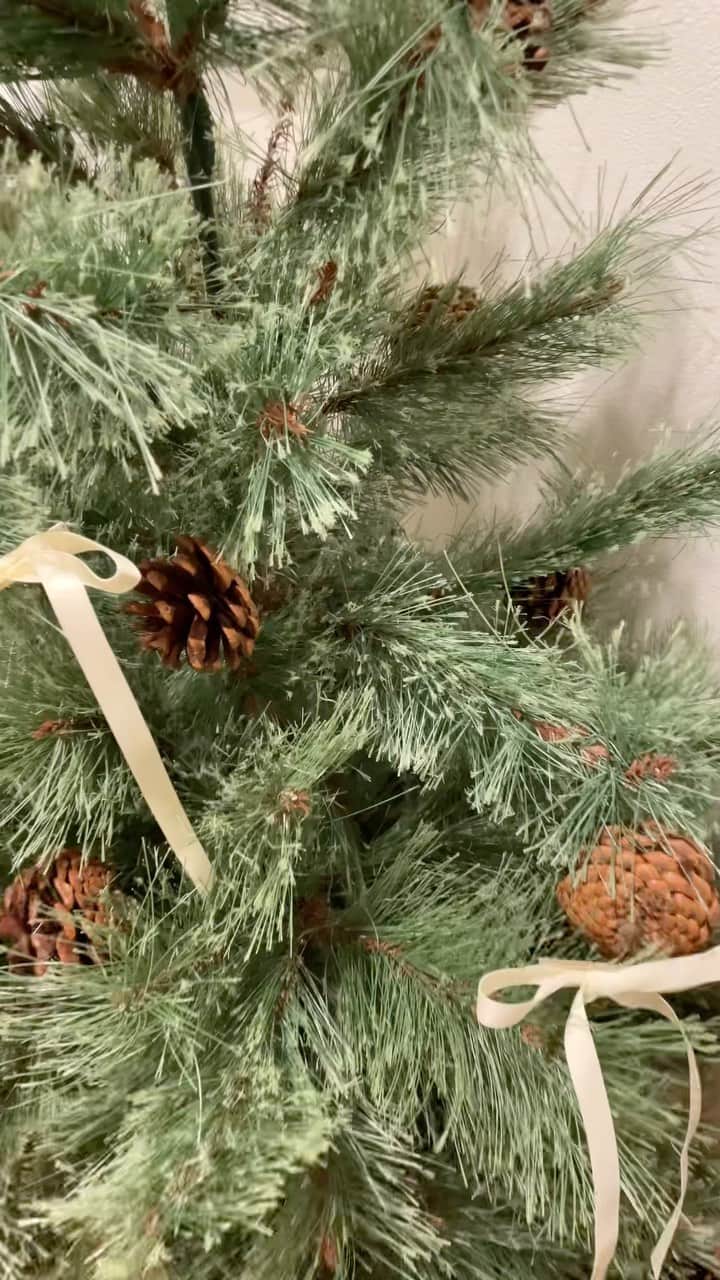 NikawaAsuka のインスタグラム：「息子達に初めてクリスマスツリーを お披露目した瞬間🎄🤍  #クリスマス #クリスマスツリー #christmas #xmas #christmastree #tree #息子 #男の子」