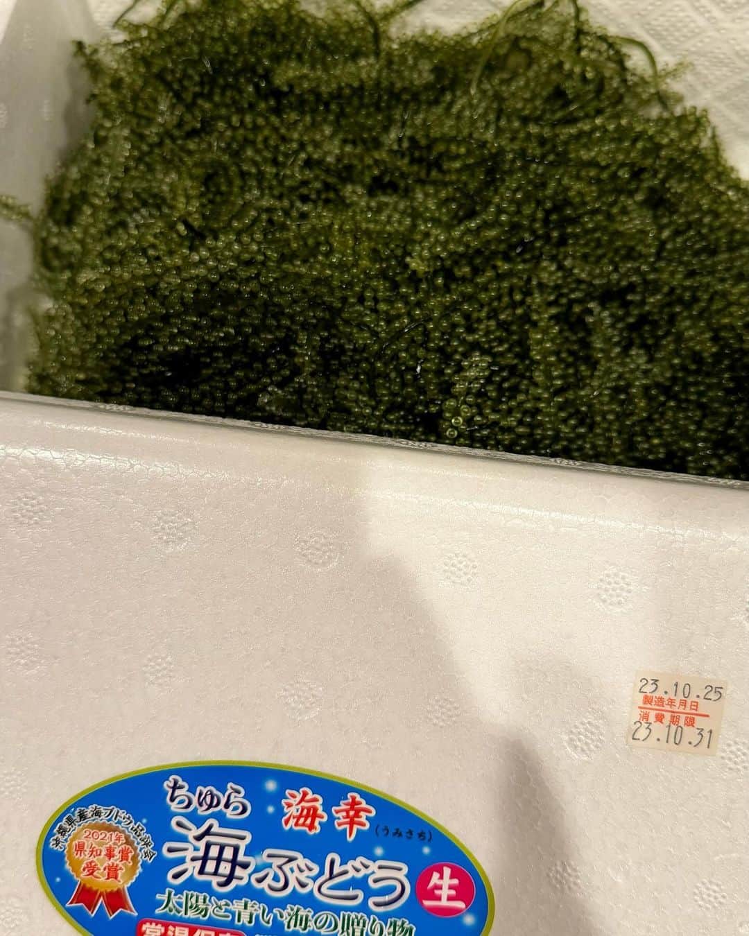 木村祐一さんのインスタグラム写真 - (木村祐一Instagram)「毎度､木村部屋ちゃんこ焼き手羽先入りに､今回は海ぶどうが入って豚バラで巻く「海ぶどうしゃぶしゃぶ」でした｡海ぶどうプチプチ〜 #いつぞやの #木村部屋ちゃんこ #手羽先 #海ぶどう #しゃぶしゃぶ」11月21日 14時00分 - kimkimni