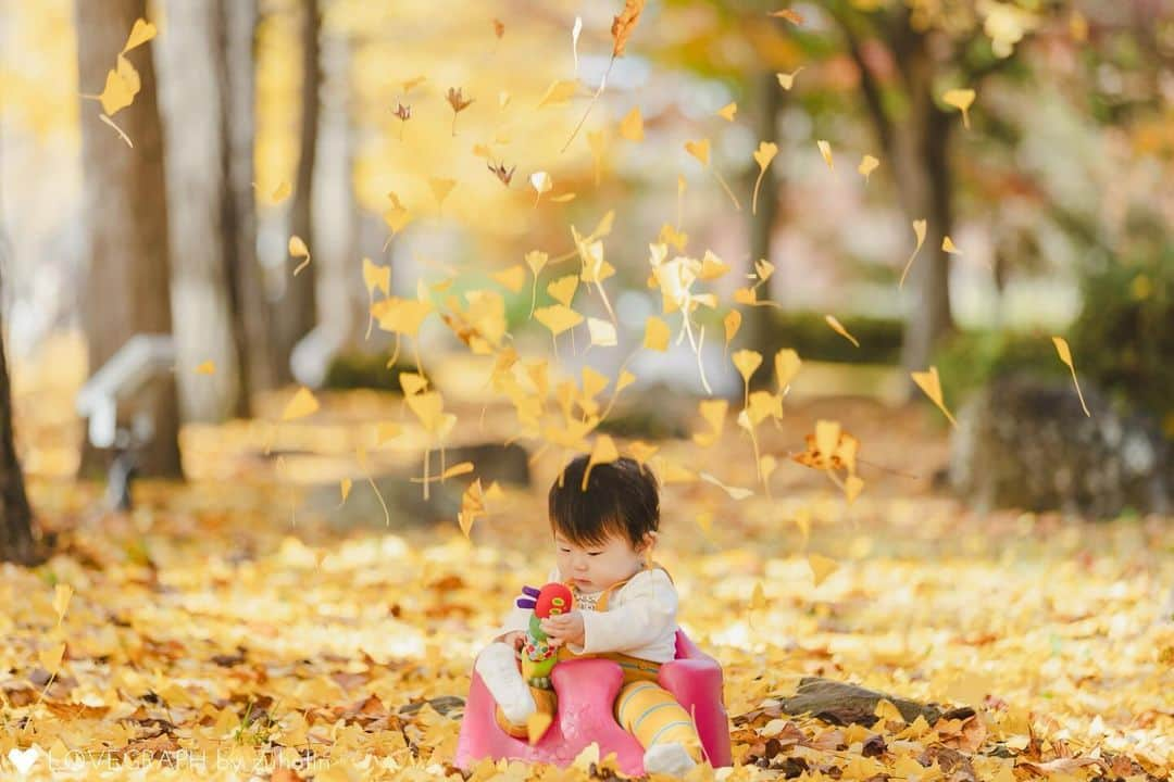 Lovegraph_Kids ラブグラフキッズさんのインスタグラム写真 - (Lovegraph_Kids ラブグラフキッズInstagram)「紅葉の季節☺️☺️🍂🫧 ㅤㅤㅤ みんなで遊びながら楽しく撮影しましょう👨‍👩‍👦‍👦📸 ㅤㅤㅤ ୨୧┈┈┈┈୨୧ ㅤㅤㅤ Lovegraphは出張撮影サービスです📸お誕生日や七五三、日常フォトなどさまざまなシーンをプロのカメラマンが撮影いたします☺️ 撮影プランや料金詳細は @lovegraph_kids のプロフィールURLをご確認ください🌼 ㅤㅤㅤ ୨୧┈┈┈┈୨୧ ㅤㅤㅤ #ラブグラフ #Lovegraph #幸せな瞬間をもっと世界に #出張カメラマン #誕生日フォト #紅葉フォト」11月21日 14時09分 - lovegraph_kids