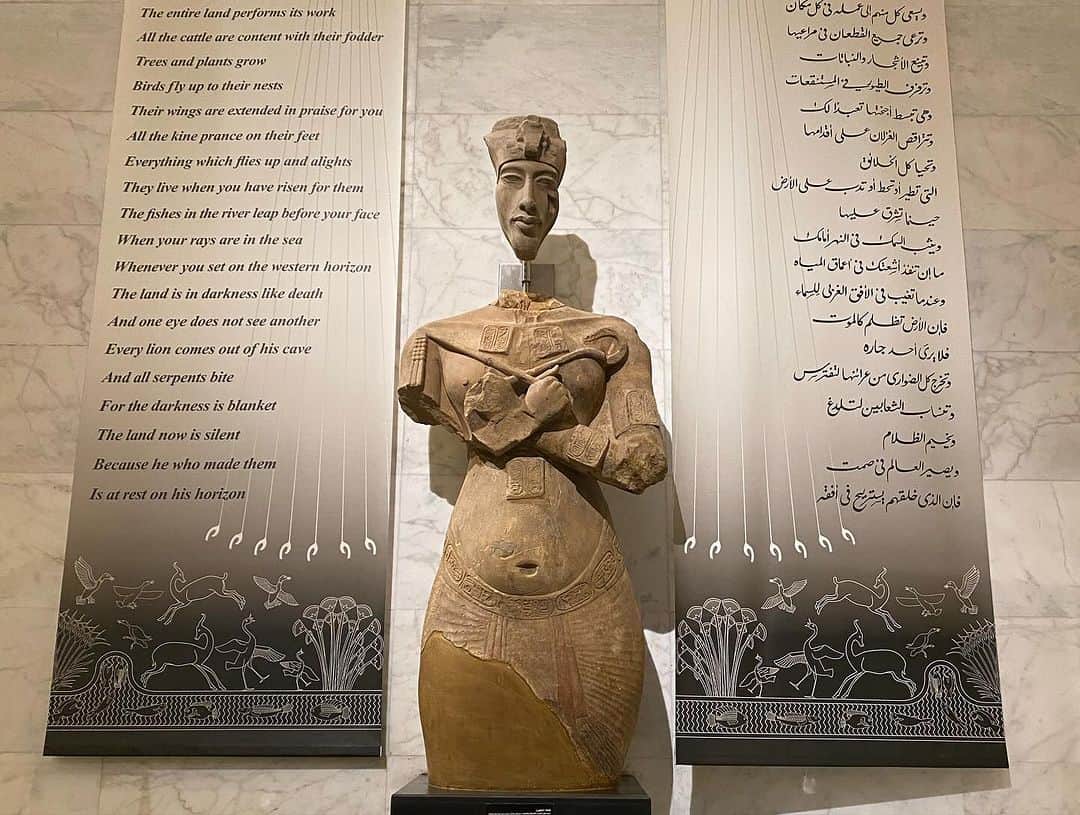 青山有紀さんのインスタグラム写真 - (青山有紀Instagram)「エジプトに新しく出来たばかりのエジプト国立文明博物館。地下にはずらりと歴代の王達のミイラが。 観覧時間が1時間もなかったし、さらっとみた感じ。ふと気になって覗いたミイラがハトシェプスト女王でした👑」11月21日 14時20分 - yukiaoya