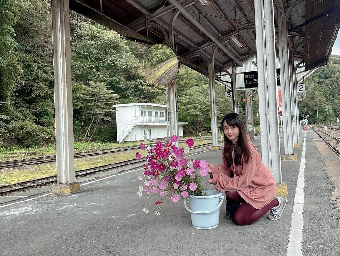 伊藤桃さんのインスタグラム写真 - (伊藤桃Instagram)「【#備後落合駅 】 備後落合駅にて4時間滞在… それは初めての出来事でした！🥺 そして様々な出会いがありました。 * 2枚目: 駅とホームの間で見守ってくれているこのマスコット。 始発でも終電でもいつもこのマスコットが迎えてくれます。 すきです(*´ω｀*) * 列車の本数が少ないため、諦めてバイクできた人… そして、突如コスモスを抱えてホームにきた2人組もいました。 きくと、写真の先生とお弟子さんで「古い駅×花」というテーマで写真を撮りに来たそう。 いつもより人が多くて驚いていたので、このあと出雲おろち号が来る旨をおしえてあげました。笑 3枚目: 私も写真をとってもらったよ📸秋桜綺麗でした🌸 * 1枚目のフォトフレーム…実は来た時はまだ… 4枚目のように、日付がはいっていませんでした。 台風直後の始発でも日にちが変わっていたのであれれ？とおもっていたのですが… * 5枚目: いつも日付を入れてくれているこの方がまだ来れてなかったからでした！ 元国鉄機関士、そしてこの備後落合駅のお近くで生まれ育った永橋則夫さんです👀‼️‼️‼️ 転車台まわりの整備、駅舎の展示、整備… その全てを永橋さんが率先してボランティアで始めたもの。 そしてさらに、この備後落合駅をよくしる元国鉄機関士さんとして、ボランティアガイドも行っているのです。 廃線の危機せまる芸備線、そして備後落合… 「備後落合駅が無くなるより前に死ぬ訳にはいかない」真っ直ぐな目でそう語る姿が心に残りました。 その様はYouTubeでアップしているので、ぜひご本人のお言葉聞いて欲しいです🥺‼️ * 6枚目: 貴重な部品や、オリジナルの冊子やグッズなども販売！ こちらが活動資金にもなります。 7枚目: わたしはこちらとヒバゴンのたまごというお菓子をげっと🫶 おいしかったー！ * 8枚目: かつての姿を再現した、ジオラマもあります。 永橋さんのお話のおかげで、まるでタイムスリップしたようでした… * 9枚目: 最後に、駅近くにあった古めかしい建物をば… 10枚目: こちらは元々旅館でした。なんと松本清張さんも泊まっていたそう。ここで、この地方と東北地方の訛りが似ていることを発見し、名作「砂の器」の構想を練ったそうです🥺 * 備後落合駅がますます好きになりました！ つぎは出雲おろち号の話🐉✨ #備後落合 #芸備線 #木次線 #ぶらり旅 #ぶらり途中下車の旅 #秘境駅」11月21日 20時21分 - itomomo_tetsu