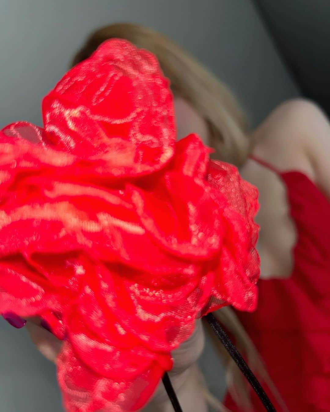 ウギさんのインスタグラム写真 - (ウギInstagram)「Despacito🌹」11月21日 15時17分 - yuqisong.923