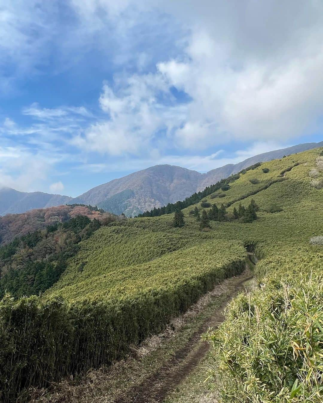 西村まどかさんのインスタグラム写真 - (西村まどかInstagram)「山登り⇨温泉⇨ビール 世界一美味しかった〜 日帰りとは思えない充実度でした。  結局摂取カロリーの方が多かったな🫠  寒暖差と乾燥で喉がやられそうです、、 土日は急激に冷え込むそうなので気をつけてね🍵  ㅤㅤㅤㅤㅤㅤㅤㅤㅤ #箱根湯本 #天成園 #金時山  #浴衣 #日帰り温泉 #箱根」11月21日 15時33分 - madoka_nsmr