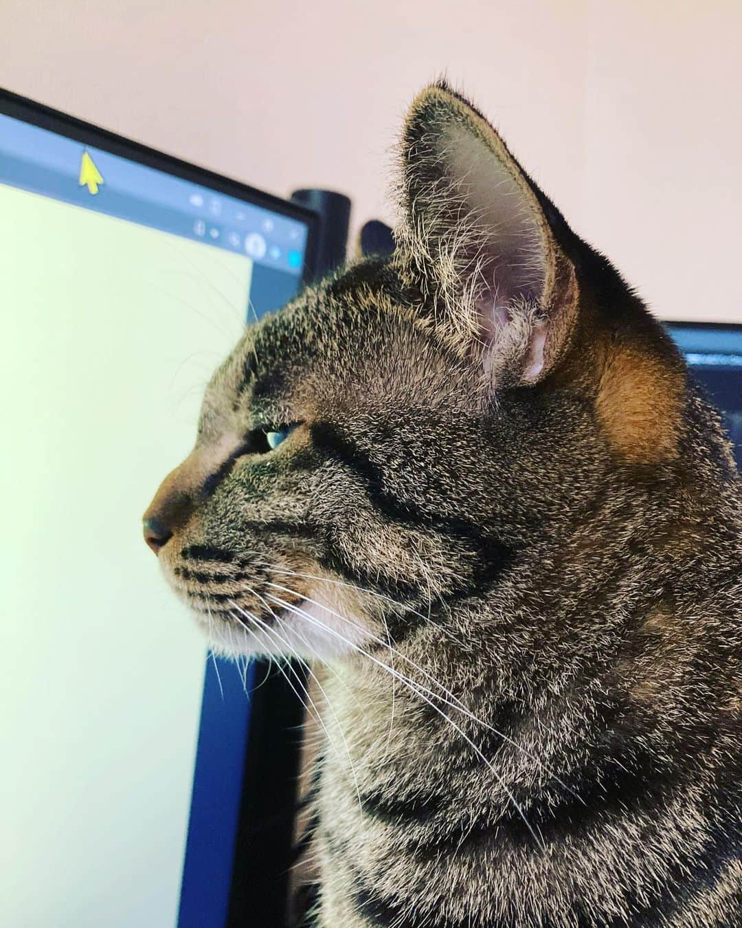 カミサマのインスタグラム