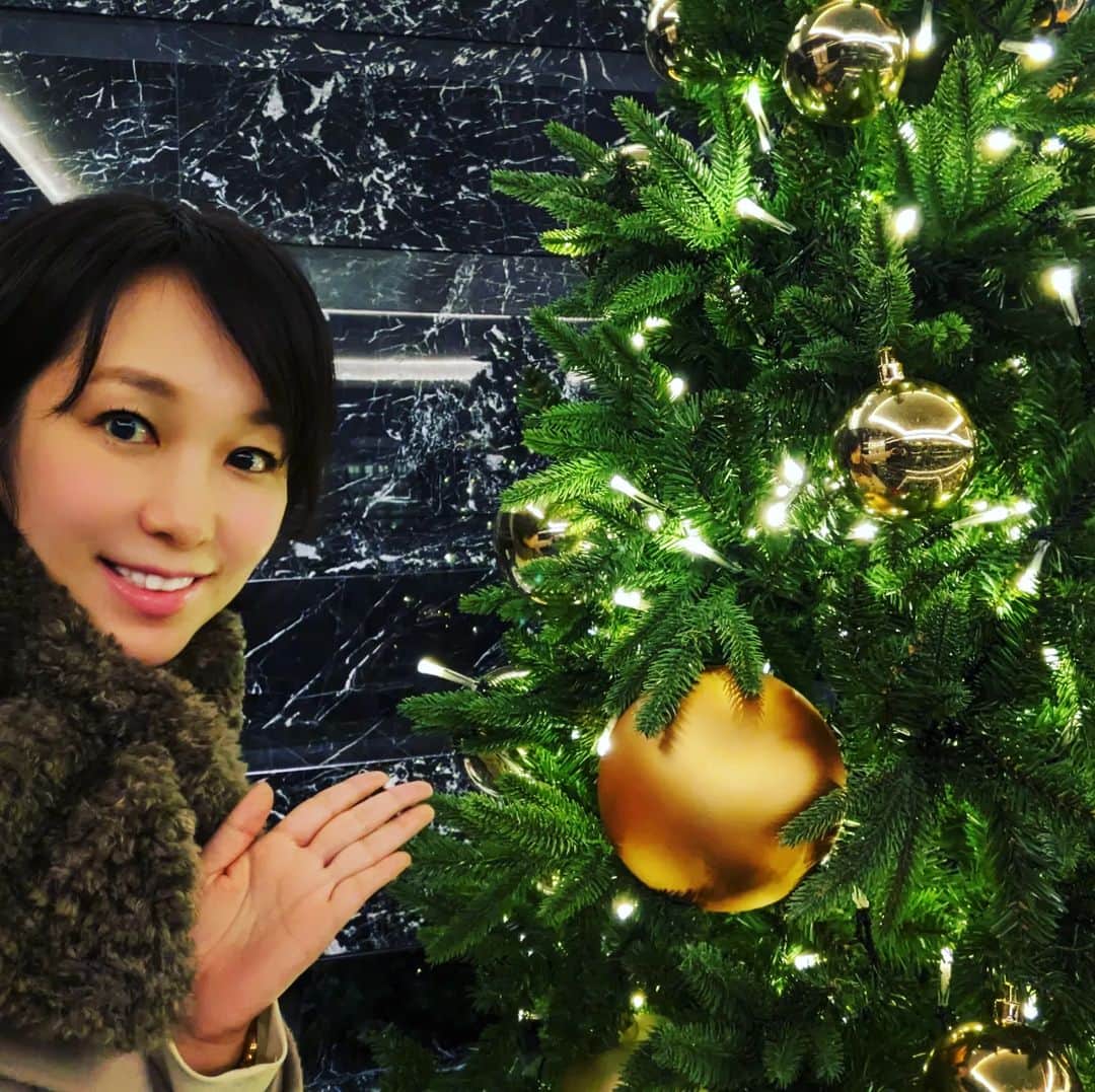 宮田愛子のインスタグラム：「毎年恒例、クリスマスツリーと写真を撮る活動🎄 今年ももう、そんな季節かあ！」