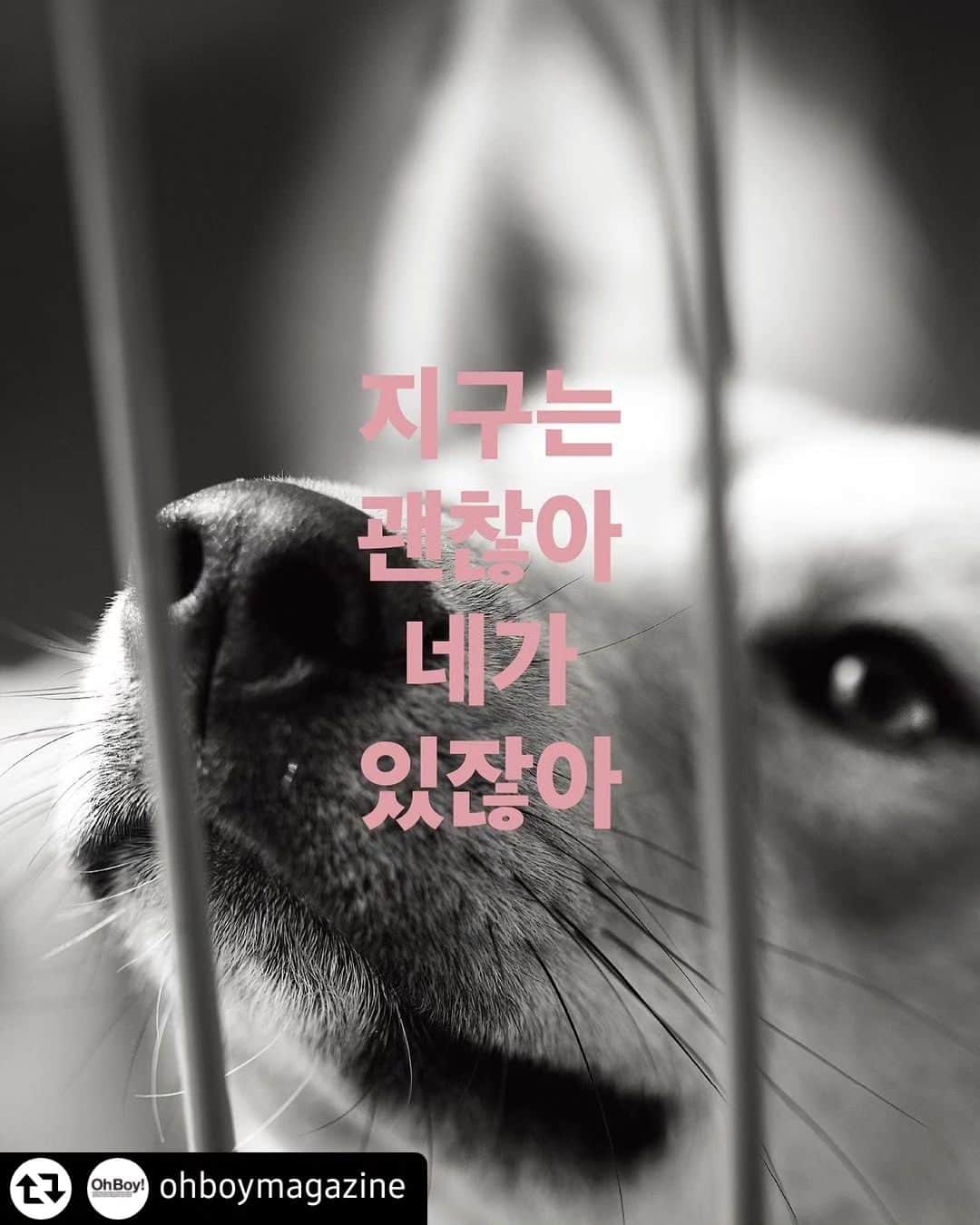 チェ・ガンヒのインスタグラム：「[UNSELF 2023]  이런 페스티발이 있다니 이름만으로도 생소한 언셀프   강아지들과 사람들이 한곳에모여 거닐고 구경하고  사진찍고 음악을듣고 토크도하고  내모습만 있는것이 아니라 너와 나의 모습이 담긴 우리들의 페스티발이었다  너무 아름다웠다 페스티발 만들어준 김현성 편집장님 오보이 감사합니다 내년에 또 만나요  Ps.근데 지구는 정말 괜찮은 걸까. 내가 있어서.  #신발/티셔츠:오리지날스포츠 #스커트:시눈 #2023#UNSELF#오보이」