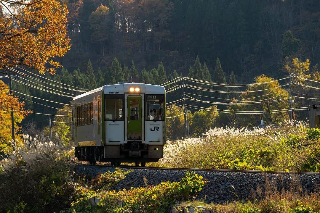 山人さんのインスタグラム写真 - (山人Instagram)「ほっとゆだ駅と横手駅の間の隠れ駅、平石駅(廃駅) 電車は止まりませんが、かっこいい鉄道が撮影可能です✨ おまけ写真も今日まで。 西和賀、横手は紅葉終わり、冬待ちです☃️ しかしながら盛岡はちょうど紅葉が見頃のようですよ〜 調査に行くしかない🏃‍♂️  2023.11.16 撮影  #私の山人  #山人 #西和賀 #岩手 #岩手県 #温泉 #いくぜ東北 #東北グルメ巡り #東北グルメ #東北旅行 #温泉旅行 # 田舎暮らし #日本の風景 #自然が好き　 #風景写真を撮るのが好きな人と繋がりたい #田舎の風景 #紅葉 #もみじ #芸術の秋 #錦 #紅葉スポット #ぶどう #落葉 #北上線 #JR #JR東日本 #湯ったりまつり2023 #地元の鉄道を応援しよう✊ #平石駅」11月21日 16時39分 - yamado.official