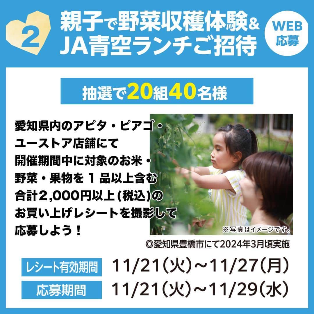 デイジーラボさんのインスタグラム写真 - (デイジーラボInstagram)「. ♡あいちウィークは愛知県内のアピタ・ピアゴ・ユーストアへ行こう♡​ 【開催期間】2023/11/21(火)～11/27(月)​  あいちウィークは愛知県内の店舗でオトクな企画や楽しいイベントが待っています🎵​  ぜひ期間中にアピタ・ピアゴに遊びに来てね！​  ①アピタン・ピアタンキラキラシール先着プレゼント！​ 愛知県内のアピタ・ピアゴ・ユーストアにて、開催期間中に直営売り場または専門店にて合計1,000円以上(税込)のお買い上げレシートをご提示いただいた方に先着でプレゼント！！​  ※なくなり次第終了となります。​ ※各店ごとに先着数は異なります。​ ※ピアゴ ラ フーズコア赤池店では実施しておりません​  ②アピタ・ピアゴ・ユーストア＆JAあいち経済連 共同企画​ 「親子で野菜収穫体験＆JA青空ランチ」抽選でご招待！​  愛知県内のアピタ・ピアゴ・ユーストアにて、開催期間中に対象商品を1品以上を含む合計2,000円(税込)以上のお買い上げレシートで応募しよう！愛知県で元気に育った旬の野菜をみんなで楽しく収穫しよう✨​  ※対象商品レシート(複数レシート合算可)を撮影して、キャンペーンページよりスマホ・PCからご応募下さい。​ ※詳しくはひとつ前の投稿をご確認ください。​  ③【愛知県内一部店舗開催】BIGだるまさんがころんだ大会​ みんなで「だるまさんがころんだ」で楽しく遊ぼう！​ ※小学生以下のお子様限定です。​  ④【愛知県内一部店舗開催】アピタン・あぐり父さんがやってくる！​ 参加無料！みんなでアピタンとあぐり父さんに会いに来てね！​  ※カメラはご持参ください。​ ※テラスウォーク一宮はアピタンのみとなります。​  #アピタ #ピアゴ #ユーストア #ユニー #あいちウィーク #愛知県民  #キラキラシール #シール配布 #愛知県限定 #アピタン #ピアタン #野菜収穫 #収穫体験 #愛知県産 #青空ランチ #JAあいち経済連 #小学生 #だるまさんがころんだ #あぐり父さん #イベント情報 #イベント​」11月21日 17時01分 - apita.piago