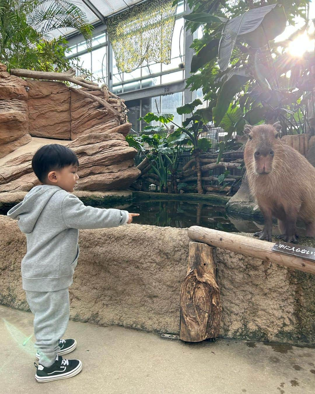 HARUEさんのインスタグラム写真 - (HARUEInstagram)「8 months 🧸🍂  息子のリクエストでまたまた神戸どうぶつ王国へ🦭  動物さんとすぐ近くで触れ合えるから楽しいよね♡  #8ヶ月 #2歳4ヶ月」11月21日 17時04分 - harue0104