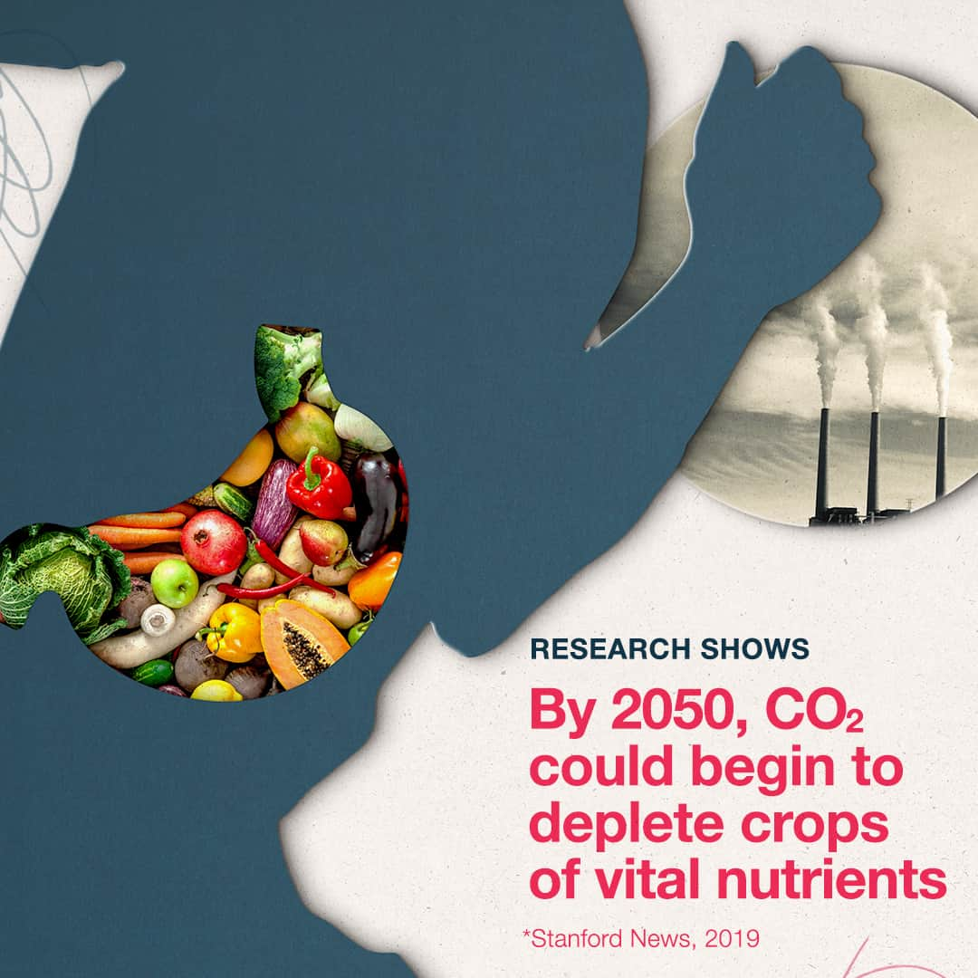 バイエルさんのインスタグラム写真 - (バイエルInstagram)「We are what we eat. And what we eat could be changing — and becoming less nutritious.    Extreme weather caused by climate change threatens the reliability and quantity of harvests. Research shows it could one day impact the nutritional quality of food, too.    Through The Nutrient Gap Initiative, Bayer is working with partners to expand access to essential nutrients for 50 million people in underserved communities per year by 2030.」11月21日 17時21分 - bayerofficial