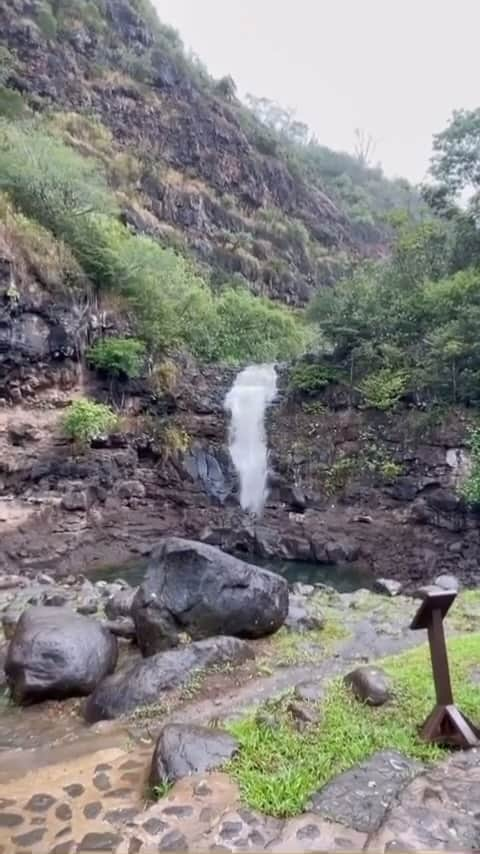 クラーク・リトルのインスタグラム：「Falls been dry for months. Drought action. Finally we got some rain and Waimea falls is back on! Video @titao777 @_nor_sai」