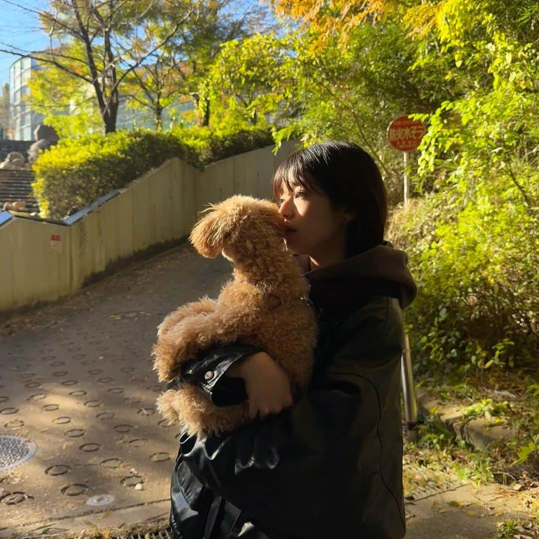 傳彩夏さんのインスタグラム写真 - (傳彩夏Instagram)「🍁」11月21日 17時32分 - denayaka