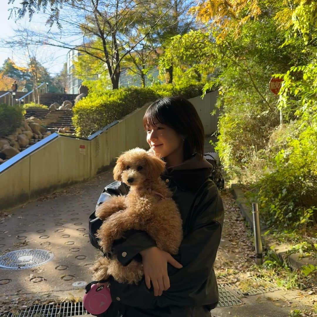 傳彩夏さんのインスタグラム写真 - (傳彩夏Instagram)「🍁」11月21日 17時32分 - denayaka