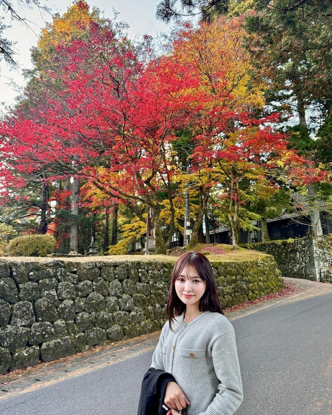 兒玉遥さんのインスタグラム写真 - (兒玉遥Instagram)「四季っていいですね〜🍁  後ろの赤い木は「メグスリノキ」って名前だそうです。目に効くらしい。おもしろ〜い  #紅葉 #🍁 #autumnleaves」11月21日 17時39分 - haruka_kodama919