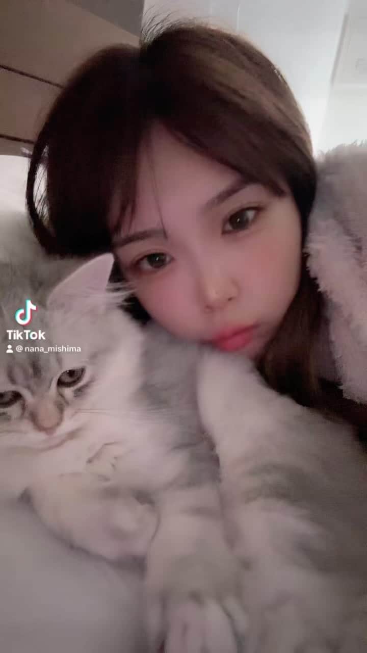 のインスタグラム：「いつも起きたら横にいる。ಠ_ಠこんな顔で。@justin_spcat」