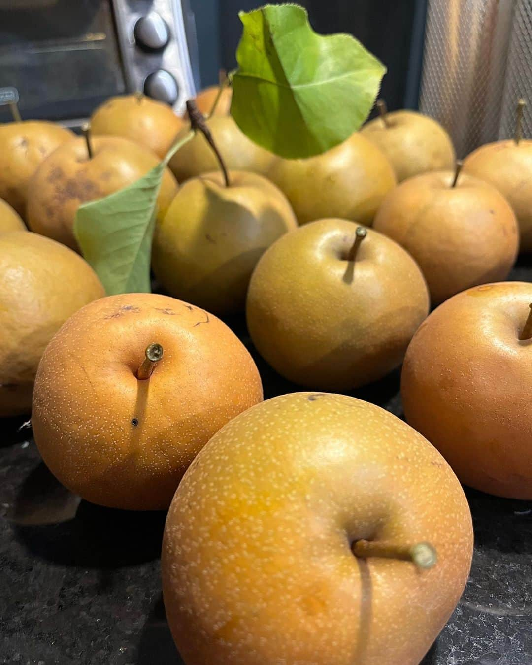 ヨーコさんのインスタグラム写真 - (ヨーコInstagram)「🍐  FAMILY PEAR  PICKING🧺   It was fun!!  楽しかった☺️✨  日本で梨狩りしたことないのだけど、やっぱり同じような道具を借りてやるのかな…？  #梨狩り #pearpicking #asianpear #和梨 #ny #memories」11月21日 18時01分 - y0k0_1108