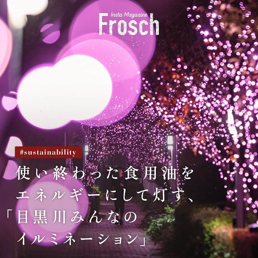 Frosch（フロッシュ）のインスタグラム：「【使い終わった食用油をエネルギーとしたイルミネーションをご存知ですか？】  大崎・五反田エリアは、毎年この時期、目黒川沿いの樹木をLEDライトで装飾した「目黒川みんなのイルミネーション」を開催しています🌸  このイルミネーションでは、節電が求められる潮流のなかで、100%自家発電を実現した素敵な取り組みが行われています。  電力の代わりに利用しているエネルギーは、ご家庭や飲食店で使い終わった食用油です。  地域の方々の協力のもと、使い終わった食用油を回収し、それをバイオディーゼル燃料にアップサイクルしています。もちろん、回収するトラックもバイオ燃料を使用しています🚚 地域の方々の力を、環境にやさしい再生可能エネルギーに代えて、今年も街をあたたかく灯しています🌏✨  ————————  いいね！と思ってくれた方は、コメント欄に「🌸」で教えて下さいね♪  自然にも手肌にもやさしいフロッシュ®︎が、世の中のサステナブルな情報をお届け🌱  【開催情報】 💡点灯期間：2023年11月10日〜2024年1月8日 🕔点灯時間：17時〜22時 📍会場：品川区立五反田ふれあい水辺広場・目黒川沿道 👤主催：目黒川みんなのイルミネーション実行委員会  #目黒川みんなのイルミネーション #イルミネーション #バイオディーゼル #アップサイクル #桜 #目黒川 #地球にやさしい #サスティナブル #sustainable #エシカル #丁寧な暮らし #暮らしのヒント #SDGs #エコ #eco #自然にやさしい #手肌にやさしい #食器用洗剤 #フロッシュのある暮らし #フロッシュ #Frosch #lifestyle #ライフスタイル」