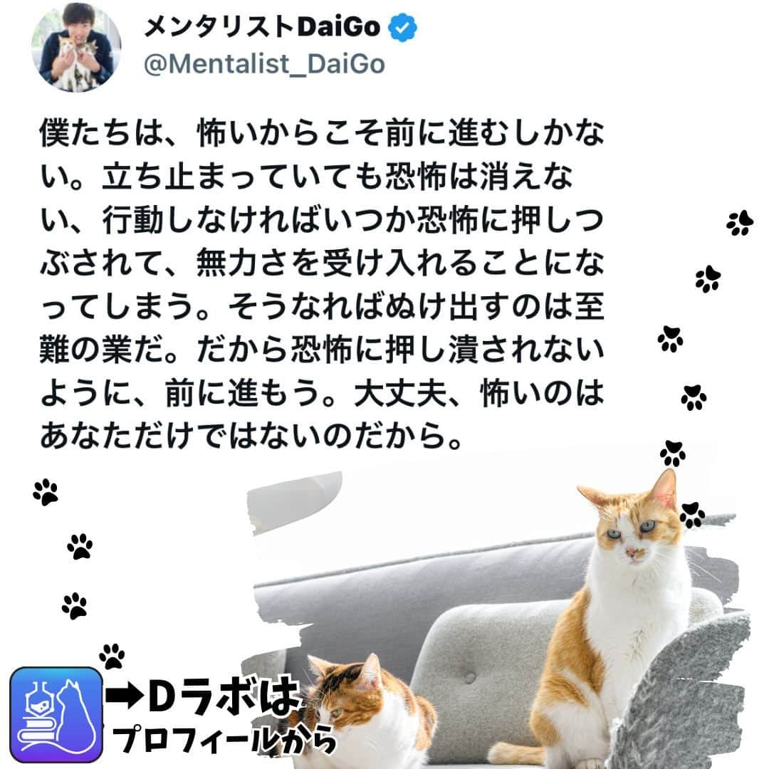 メンタリストDaiGoさんのインスタグラム写真 - (メンタリストDaiGoInstagram)「🐈本日の名言📚 プロフィールからDラボもみてね  #心理学 #メンタリスト #dラボ  #dラボはプロフィールから」11月21日 18時00分 - mentalistdaigo