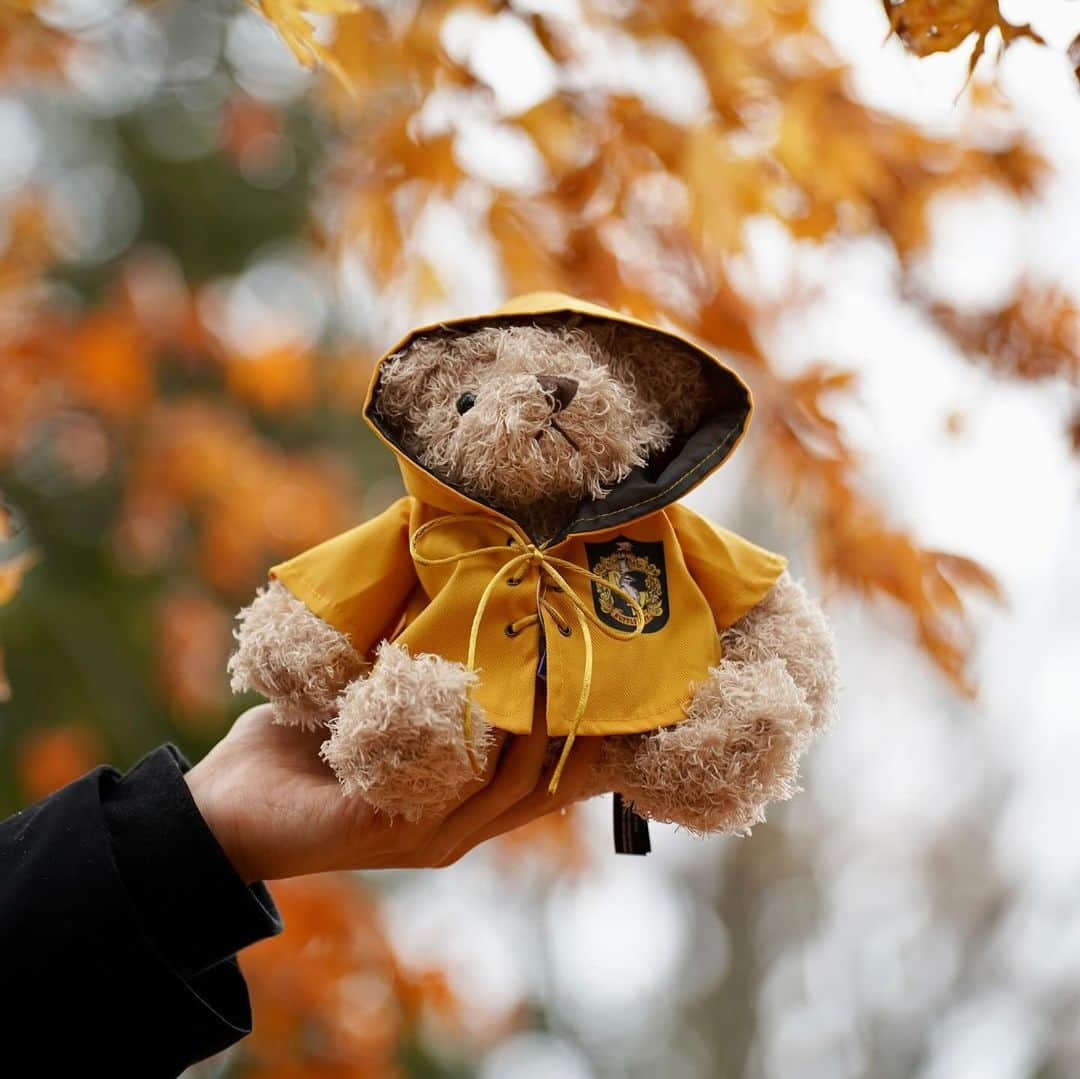 FashionDreamer Dさんのインスタグラム写真 - (FashionDreamer DInstagram)「Harry Potter season will soon be upon us. Hogwarts students with Japanese autumn.🍁🍂.    【台湾话】哈利波特的季節即將來臨。日本秋天的落葉。     【हिंदी】हैरी पॉटर सीज़न जल्द ही हमारे सामने होगा। जापानी शरद ऋतु के पत्ते.     【Türkçe】Harry Potter sezonu yakında açılacak. Japon sonbahar yaprakları.     【Português】A época de Harry Potter está quase a chegar. Folhas de outono japonesas.     【Français】La saison Harry Potter sera bientôt à nos portes. Feuilles d'automne japonaises.   【Italiano】La stagione di Harry Potter sarà presto alle porte. Foglie autunnali giapponesi.     【한국어】 곧 해리 포터 시즌이 다가옵니다. 일본의 단풍.     【日本語】  今日の投稿は 長野県へ撮影しに行った時のです。   雨が降ってしまったので、 凍えるような寒さで、、   ハリーポッターの世界の冬は もっと寒そうだなぁとか思いながら 撮影してました。   さて、何度も見返す位ではありますが、 好きな作品です。   ハリーポッターには 色々いい所があるのですが、   やっぱ組分けは欠かせないイベントですよね。   最近、日本公式から 組分け儀式 あなたのホグワーツ寮を診断しましょう というサイトが出来ていたの知ってますか？     自分もやってみたところ 自分の組分け診断は 【スリザリン寮】でした。   素直に回答したら、案の定、ね。   でも、みんながみんな闇の魔法使いじゃないからきっと大丈夫だよね、、?       #HarryPotter #wizard #hogwarts #Gryffindor #Hufflepuff #Ravenclaw #Slytherin #ハリーポッター #ハリーポッターの世界」11月21日 18時05分 - d_japanese