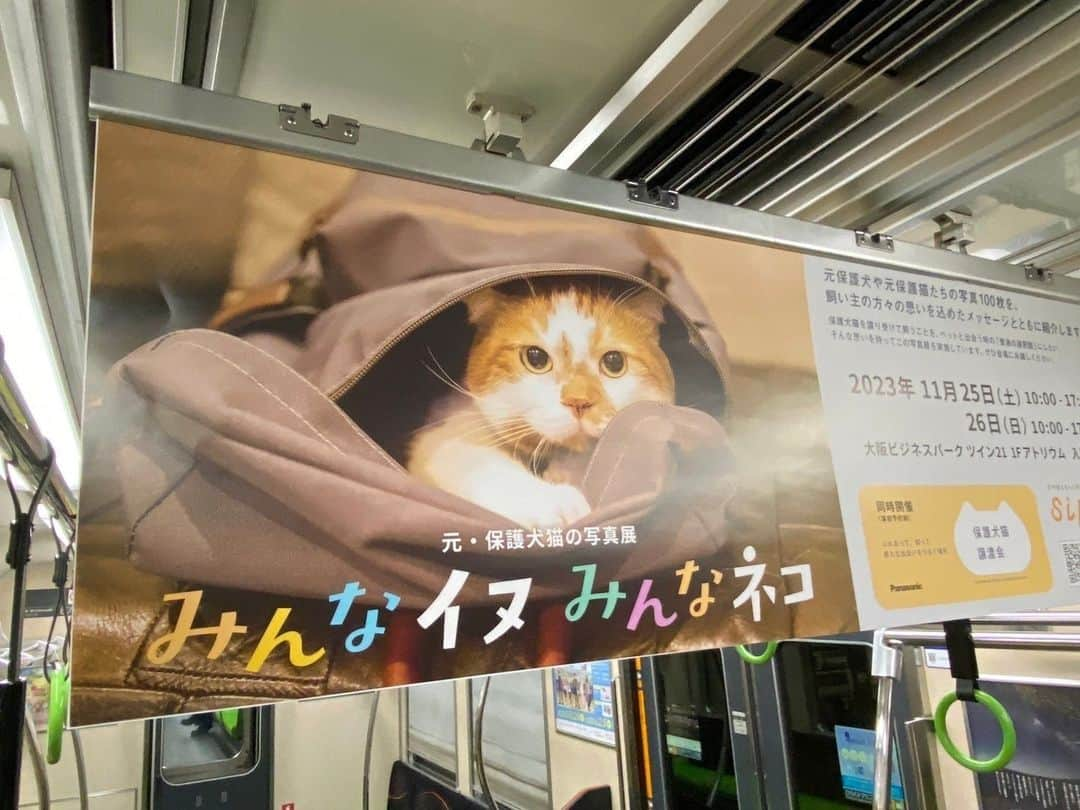 sippoさんのインスタグラム写真 - (sippoInstagram)「元・保護犬猫の写真展「みんなイヌみんなネコ」、京阪電車の中吊り広告でも紹介中です。  11/25-26は大阪市で開催の #パナソニック保護犬猫譲渡会 へ、是非、お足運びください💪  主催Panasonic、協力sippo」11月21日 18時17分 - sippo_official