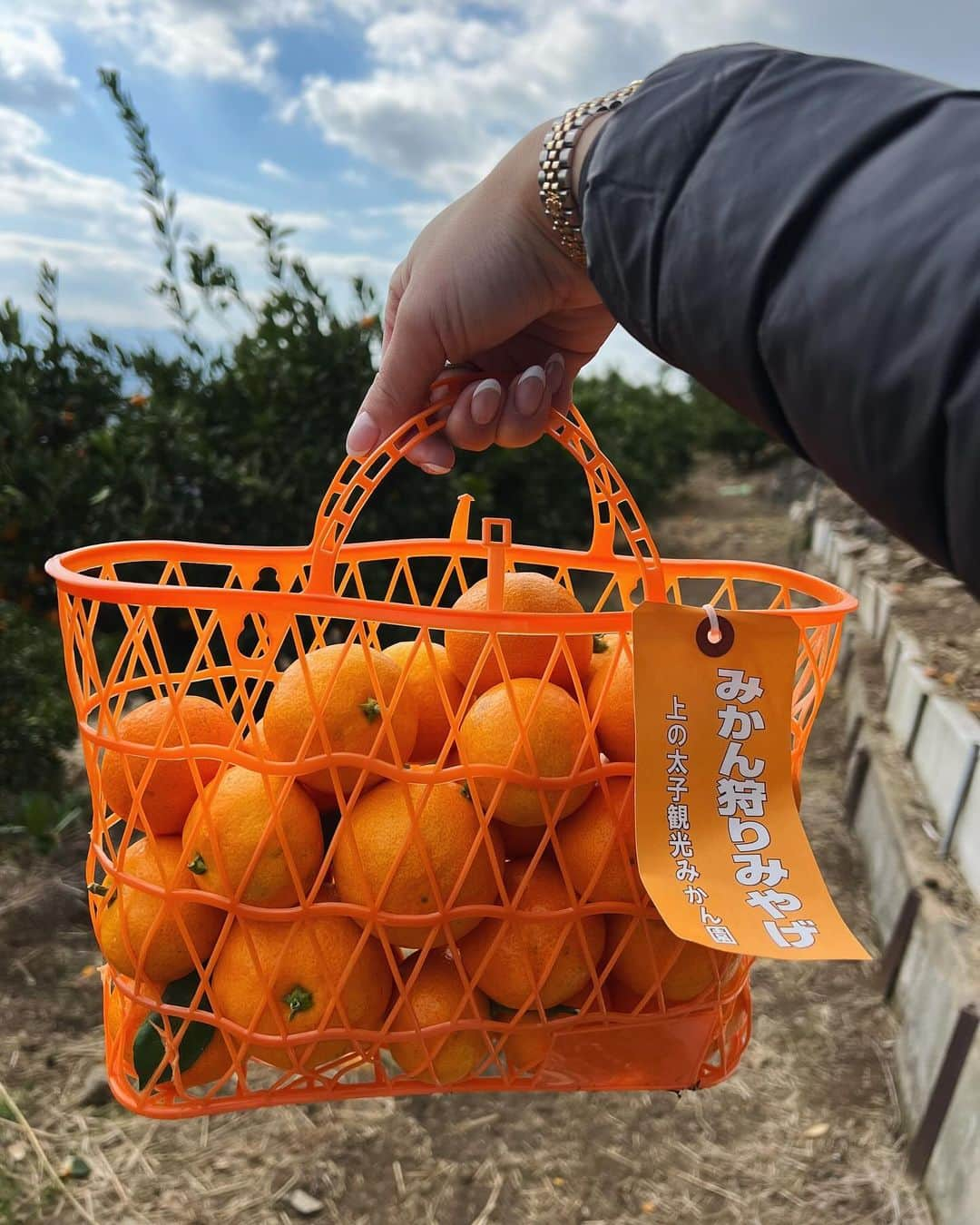 Rionaさんのインスタグラム写真 - (RionaInstagram)「.  友達親子とみかん狩りへ🍊  かなり歩いたけど、天気も良くて めちゃくちゃ楽しかった〜🥹✌🏼💘  みかんの皮はそのままポイしていいので そこに子供達はテンション上がってた🗑笑  駐車場も近くに停めれて、人もまだ少ない 午前中に行くのがおすすめです ❤️‍🔥🫡  . #みかん狩り #みかん狩り🍊 #みかん狩り体験  #みかん食べ放題 #みかん狩りコーデ #みかん #上の太子観光みかん園 #上の太子みかん狩り  #男の子ママ #兄弟ママ #ママコーデ #ママファッション」11月21日 18時28分 - riiioona