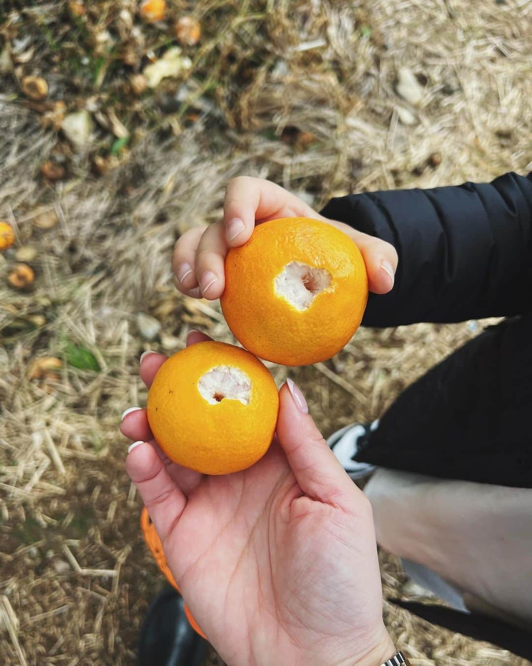 Rionaさんのインスタグラム写真 - (RionaInstagram)「.  友達親子とみかん狩りへ🍊  かなり歩いたけど、天気も良くて めちゃくちゃ楽しかった〜🥹✌🏼💘  みかんの皮はそのままポイしていいので そこに子供達はテンション上がってた🗑笑  駐車場も近くに停めれて、人もまだ少ない 午前中に行くのがおすすめです ❤️‍🔥🫡  . #みかん狩り #みかん狩り🍊 #みかん狩り体験  #みかん食べ放題 #みかん狩りコーデ #みかん #上の太子観光みかん園 #上の太子みかん狩り  #男の子ママ #兄弟ママ #ママコーデ #ママファッション」11月21日 18時28分 - riiioona