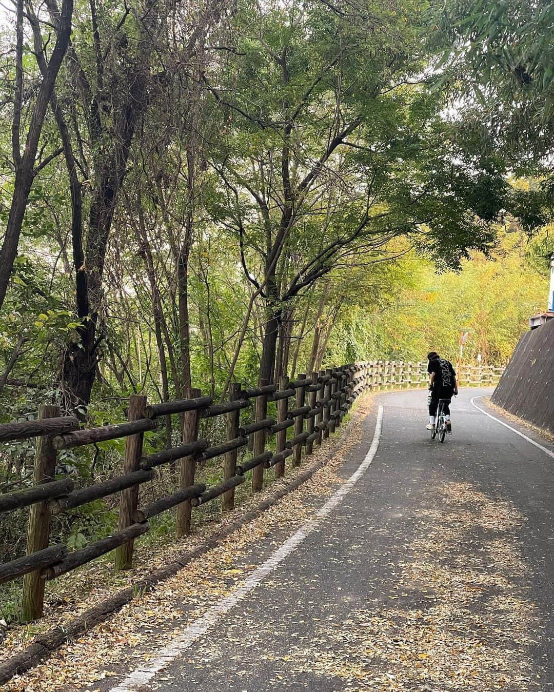 中村明花さんのインスタグラム写真 - (中村明花Instagram)「. 先日、お天気の良い日にサイクリングへ行ってきました♪ . 今までは娘の走る姿を見て追いかけているだけでしたが、一緒に自転車乗りたいなぁ〜、と思っていたので、今回はシェアサイクル #cogbe を借りて家族で楽しんだよ🚴‍♀️🚴‍♀️🚴‍♀️ . 群馬には利根川の横を走れる #利根川自転車道 があるので、子連れサイクリングするには車もこなくて安心☺️ （ずーっと進むと江戸川自転車道に繋がって東京ディズニーリゾートにまで行けるんだって） . 川に山に自然を感じながらサイクリングができて、もー最高に気持ちよかったーーー！！ . 家族皆で楽しめて、 サイクリング…ハマりそうです♡ . . #坂道もギアを重くして負担をかける追い込み系の夫 #全力で電動機能を使いラクして楽しみたい系の私 #一緒に自転車に乗られていつもより嬉しそうな娘 ⁡#群馬生活 #群馬暮らし #martweekender  #家族で過ごす週末 #ときめく週末 #雑誌Mart」11月21日 18時23分 - sayaka_nakamura3