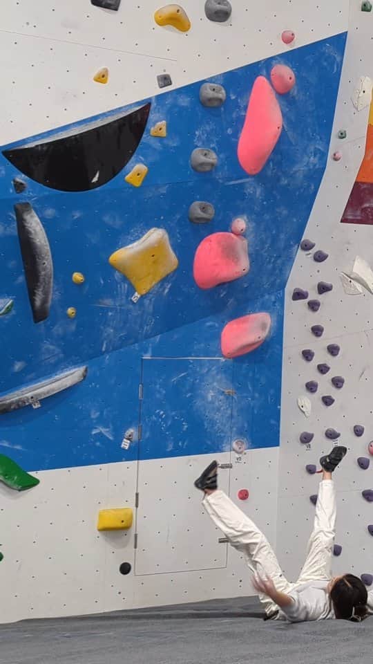 W E Y L I Eのインスタグラム：「"how's climbing going?"」