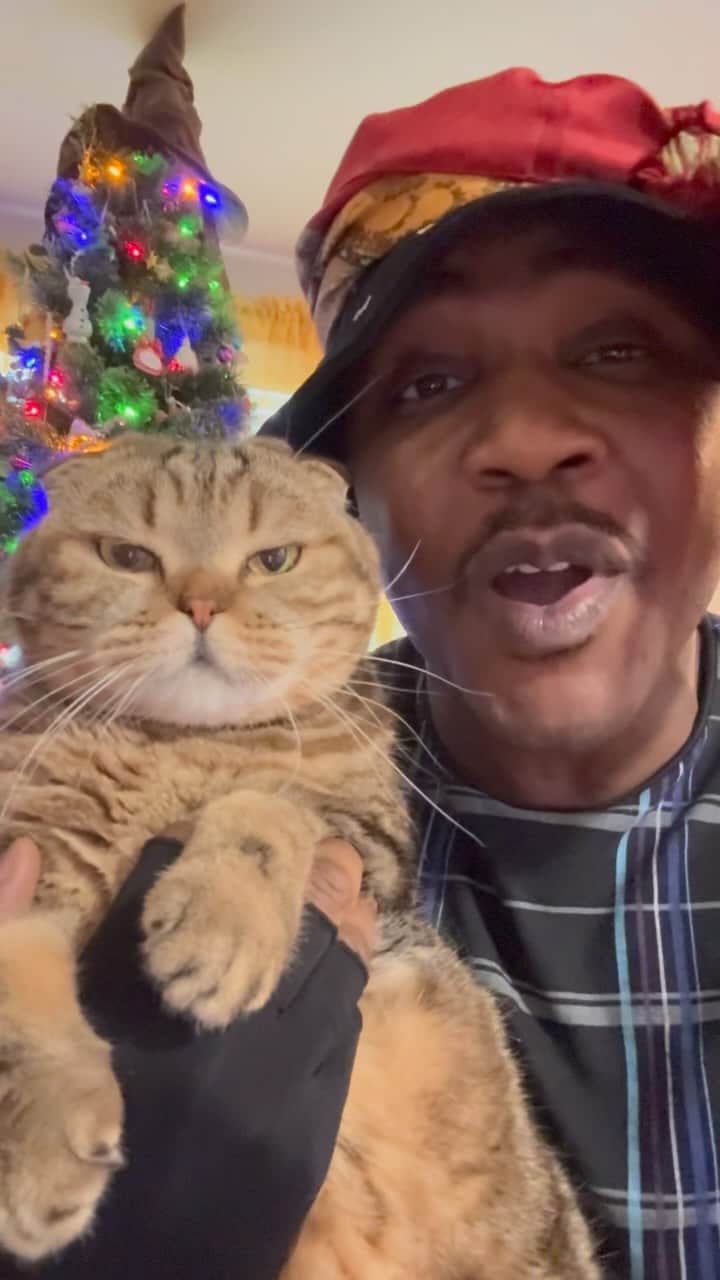 MSHO™(The Cat Rapper) のインスタグラム：「Happy Holidays everyone! We love and care about all of you…. If you have someone you LOVE.. PLEASE TELL THEM. We hope you have a great holiday with your family and friends! Who’s going to wish us a “HAPPY HOLIDAYS” as well????? 😺❤️🎄 #TheCatRapper #LilParmesan #HappyHolidays #CatMan #CatMom #CatDad #MerryChristmas #Xmas #MerryXmas #MoGang」