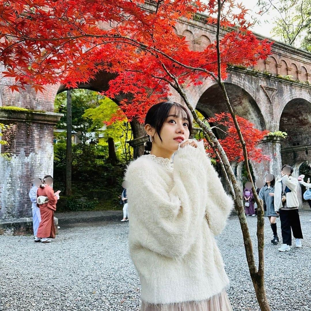 伊藤美来さんのインスタグラム写真 - (伊藤美来Instagram)「秋の京都へ🍡   紅葉名所とスイーツが楽しめるチケットを使って満喫してきました！   南禅寺の紅葉はこれから見頃なようで、もう既に赤く染まっているのもチラホラ🍁   東福寺はライトアップを観に！ 幻想的で別世界にいるようだった🍂🍃   スイーツチケットを使って お団子まで食べちゃった。   ゲットした限定カレンダーはどの写真も本当に美しい… 詳しくは「そうだ 京都、行こう。」のHPをチェック☑   みなさんも 秋の京都に是非足を運んでみては☺︎   #みくです☺︎  #PR  #そうだ京都行こう」11月21日 21時00分 - itomiku_official