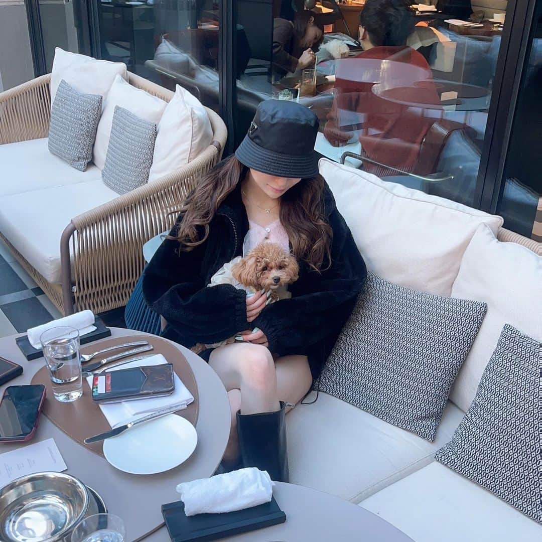 WAKANAのインスタグラム：「むぎさんも美味しそうなご飯食べてた🐶🍽」