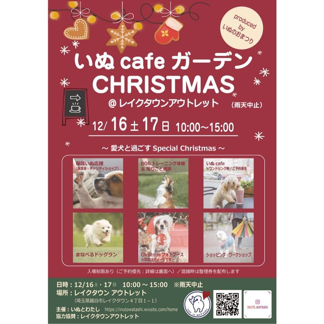 甲斐麻美のインスタグラム：「・ 愛犬と過ごすSpecial Christmas！ \\いぬ cafe ガーデン//  青空の下、ドッグカフェで 愛犬の好きなフードやおやつを選んで、 クリスマスカフェを楽しみませんか？🐕🎄🍩  パン屋さんスタイルで、 お好みのフードを自分でチョイスして 愛犬のためのオリジナルクリスマスプレートを 完成させてくださいね！🎅 事前予約でお待たせしません。🙌 （ワンドリンク制） ご予約はこちら💓 >> https//reserva.be/inutowatashi プロフィール欄から飛べます🕊  他にも、ワンコの絵本アートな似顔絵や、 フラワーデザイナーと一緒に作る 肉球デザインリースなどのワークショップ。 クリスマスフォトブース、 ドッグパックウォーク、ドッグランなどの 厳選した体験型コンテンツが並びます。  ぜひ、“いぬ cafe ガーデン” へ ご家族やお友達と一緒に 遊びにいらして下さいね！🐕🐾🎄  いぬフード・いぬ服・いぬグッズなど セレクトショップと共にお待ちしております。 愛犬のためにクリスマスプレゼントを 選ぶのもオススメです🎁  レイクタウンアウトレットの水辺が クリスマスガーデンに変わる限定2days🎄  愛犬と過ごすSpecial Christmasを一緒に 楽しみましょう✨  ================ 　いぬ cafe ガーデン ================ 日時：12月16日(土)17日(日)10:00～15:00 ※雨天中止 場所：レイクタウンアウトレット JR武蔵野線　越谷レイクタウン駅　徒歩7分 ※入場無料 ※カフェエリア予約優先（ワンドリンク制）  ■カフェのご予約はこちら💓 >> https//reserva.be/inutowatashi プロフィール欄から飛べます🕊  #いぬcafeガーデン #いぬとわたし #レイクタウンアウトレット #犬イベント #いぬのいる暮らし #犬好きさんと繋がりたい #草加　#越谷　#埼玉 #遊びに来てね #ガーデンカフェ #ドッグカフェ #クリスマス犬イベント #犬とお出掛け」